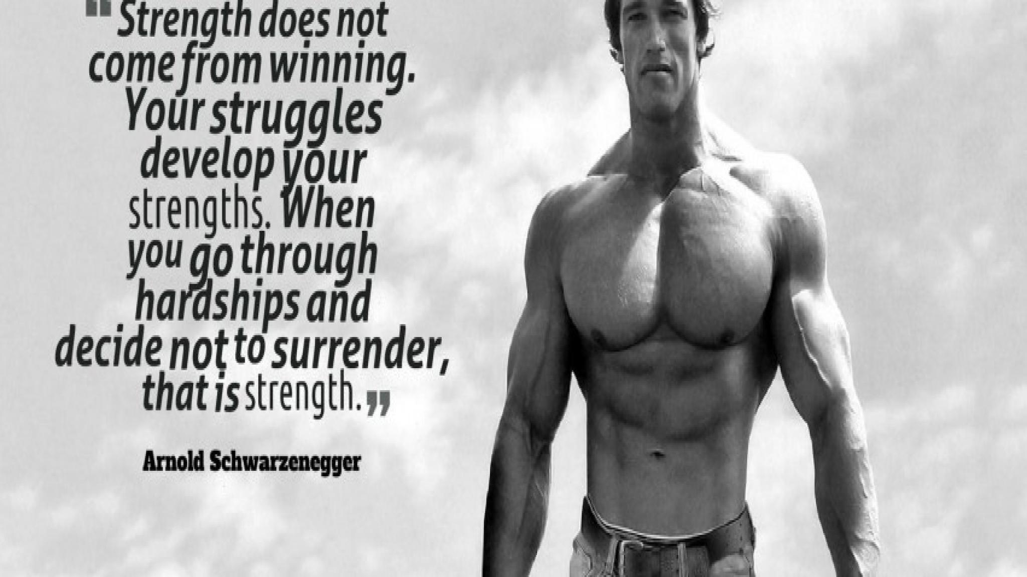 2048x1152 Arnold Schwarzenegger Wallpaper HD
