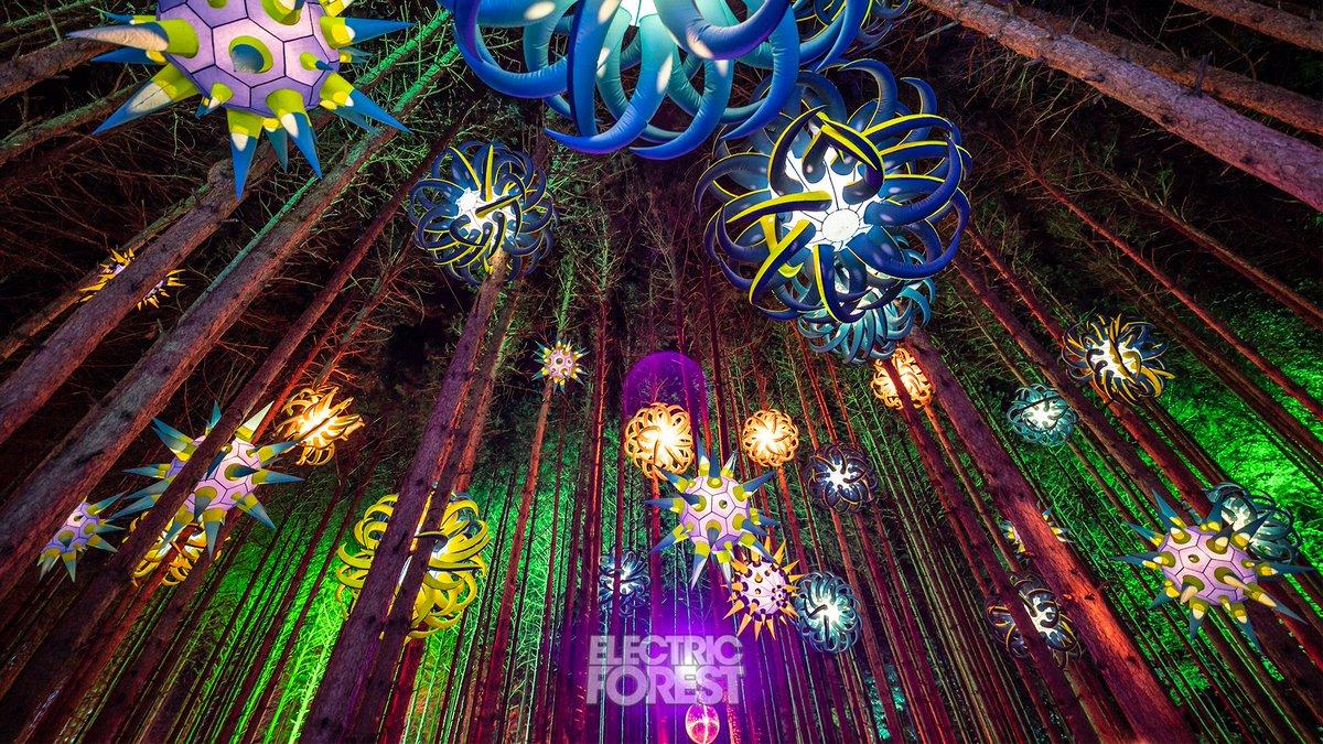 1200x675 Electric Forest ⚡
