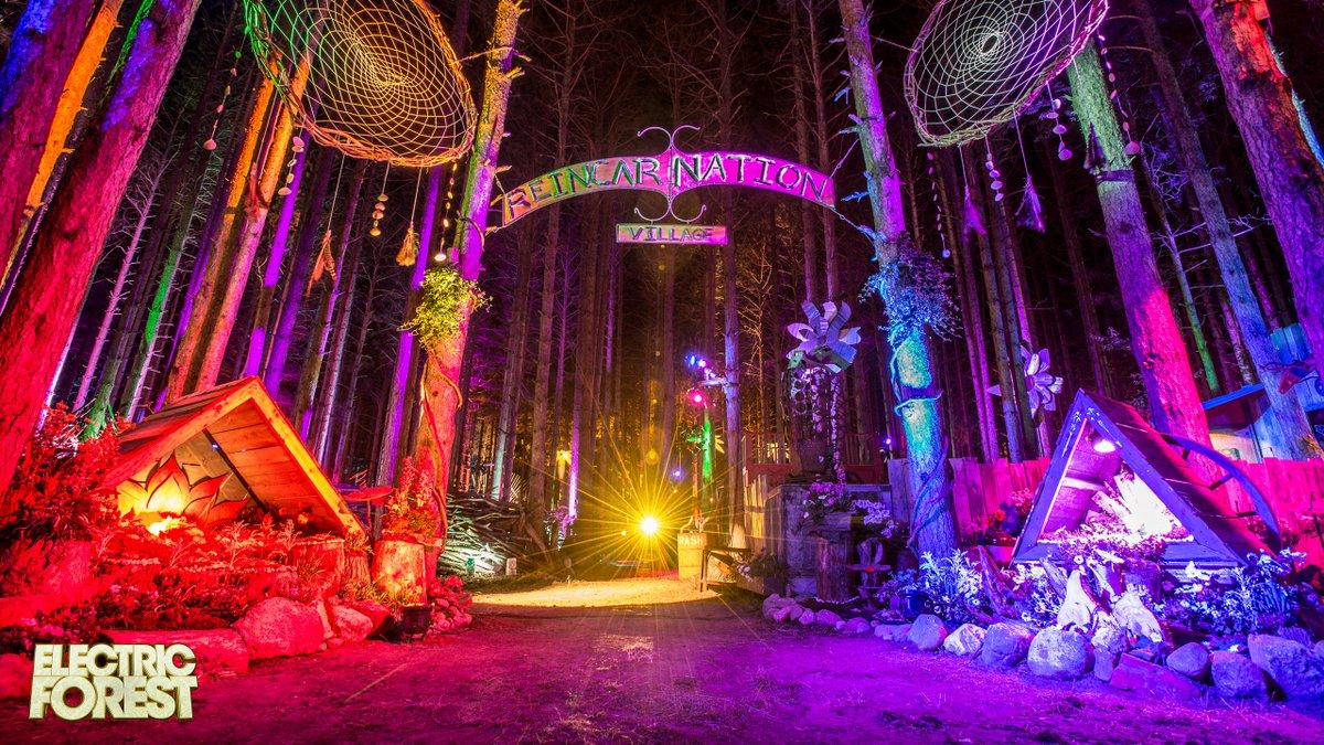 1200x675 Electric Forest ⚡