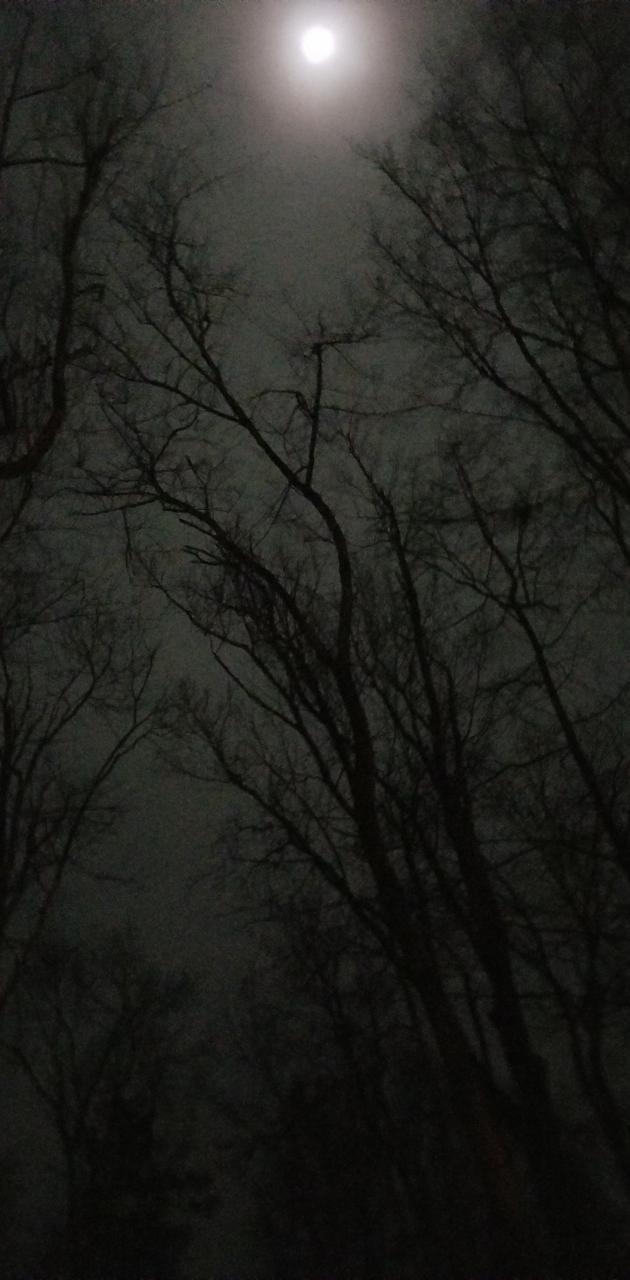 630x1280 Cloudy Night Sky wallpaper