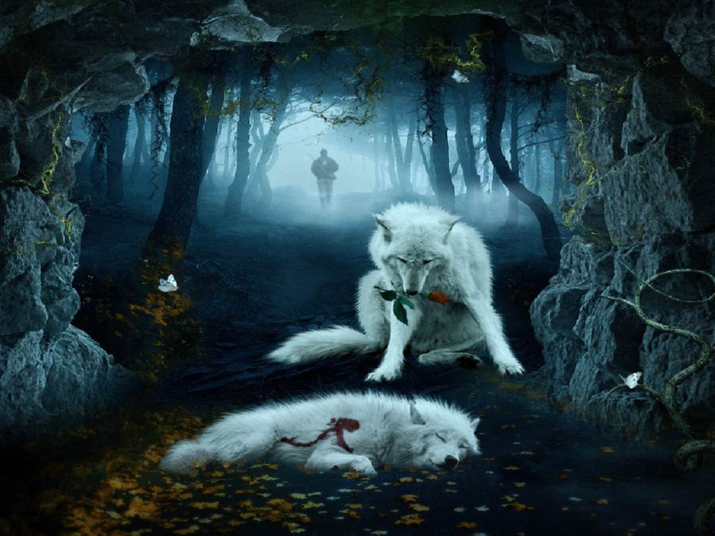 1024x768 Cool Wolf Wallpaper