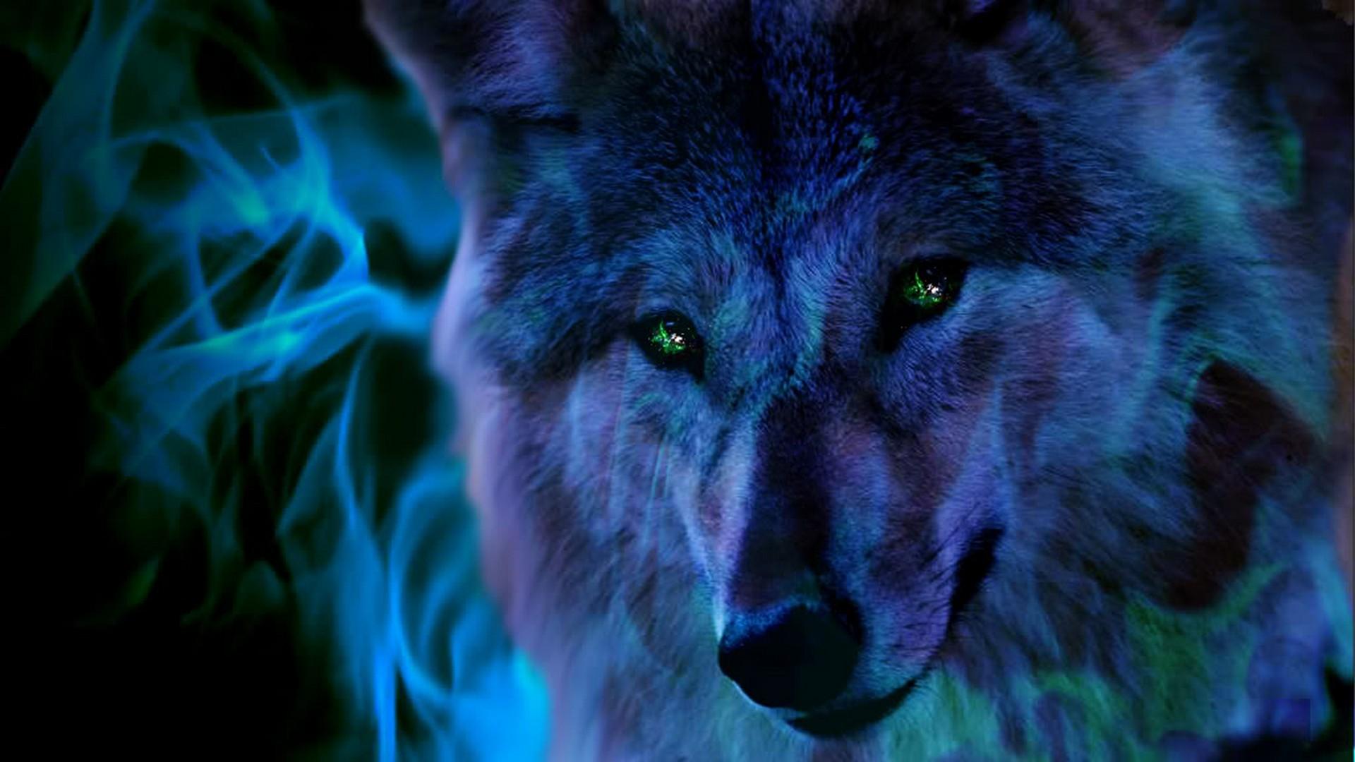 1920x1080 Cool Wolf Background Wallpaper HD Live Wallpaper HD
