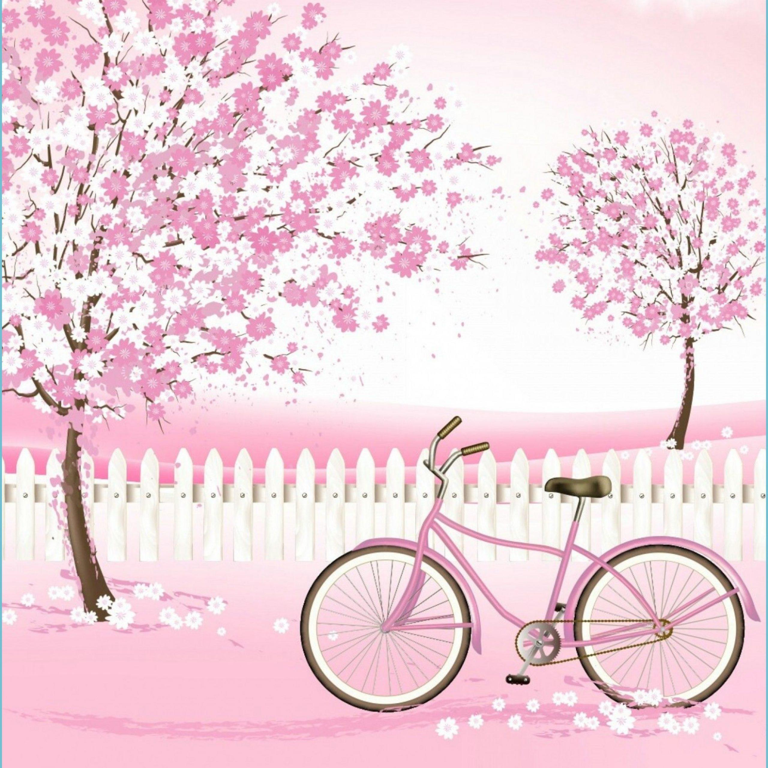 My Image 27