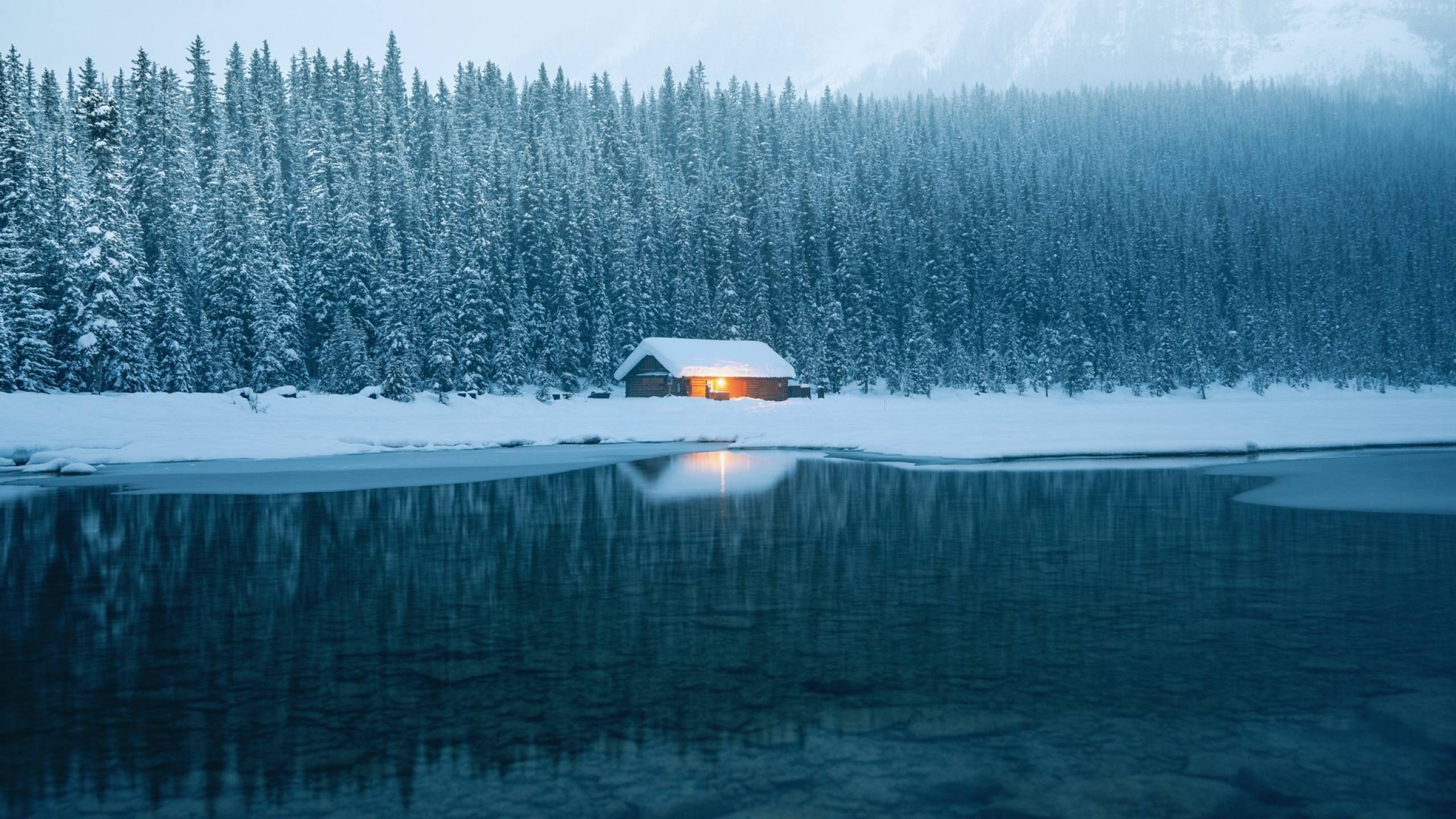 2560x1440 winter, trees, ice 1440P Resolution Wallpaper, HD Nature 4K Wallpaper, Image, Photo and Background