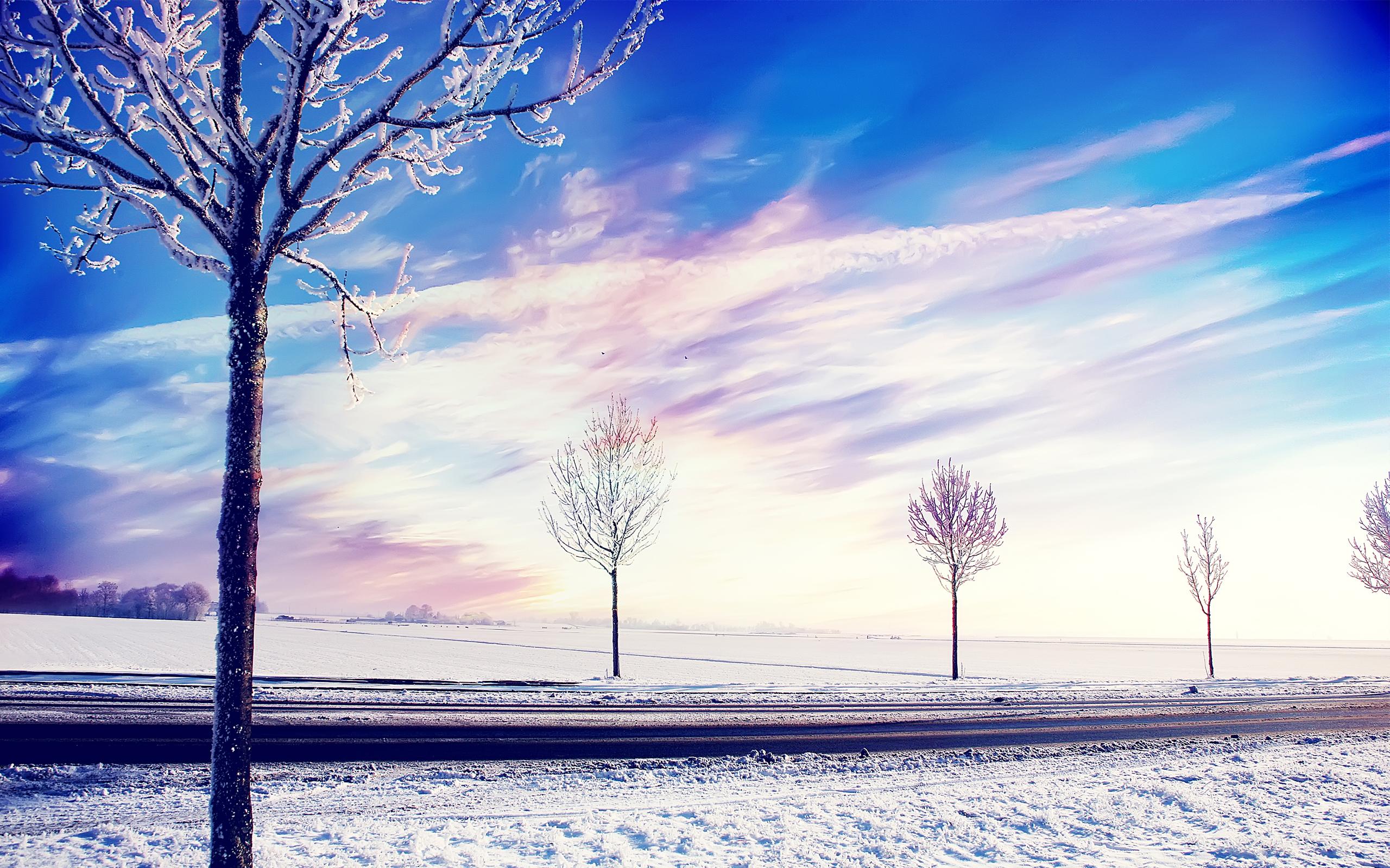 2560x1600 Snow Winter Trees, HD Nature, 4k Wallpaper, Image, Background, Photo and Picture