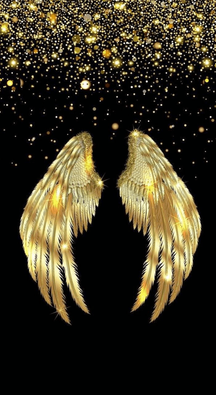 71 Angel Wings Wallpaper  WallpaperSafari