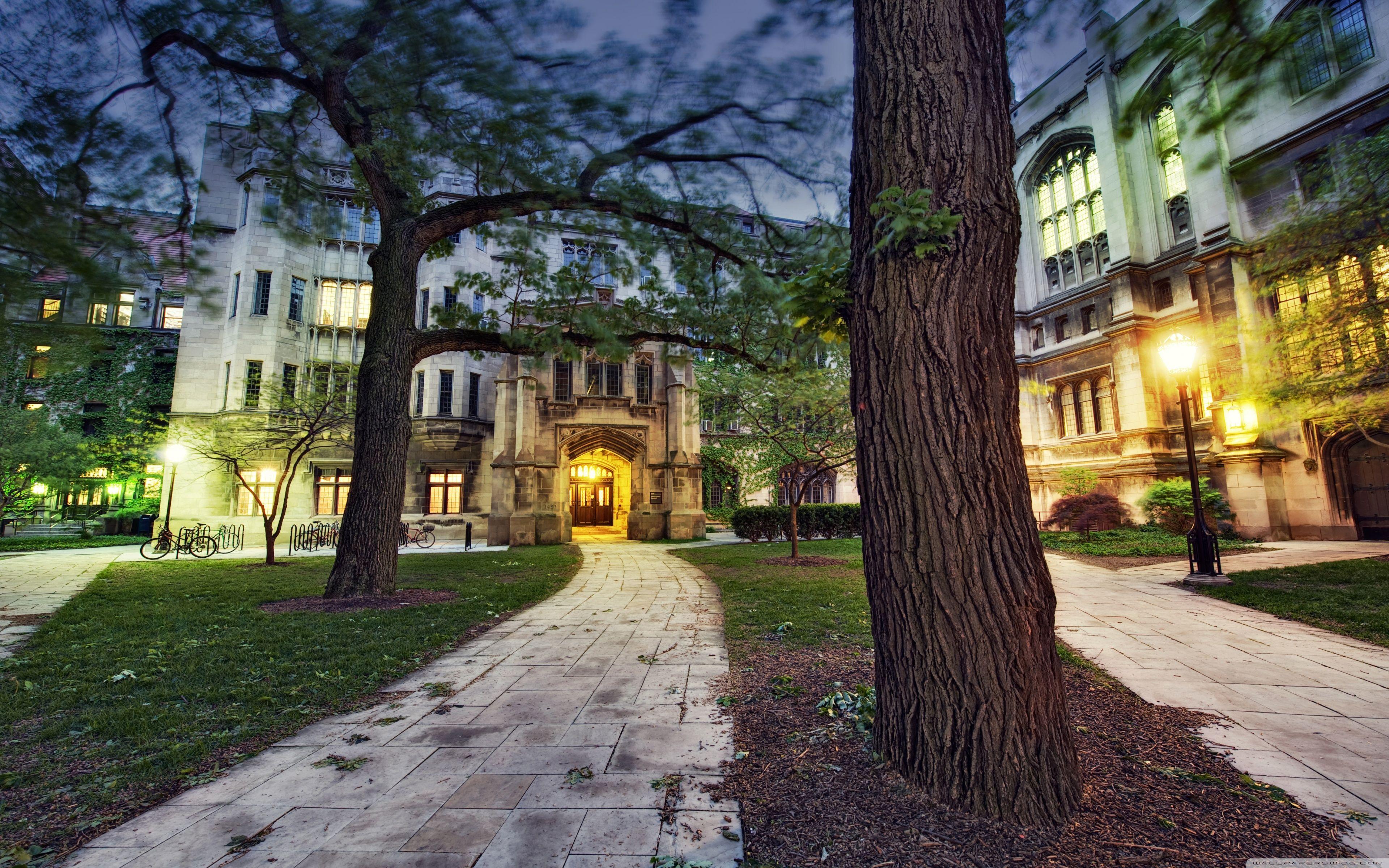 College Campus Wallpapers  Top Free College Campus Backgrounds   WallpaperAccess