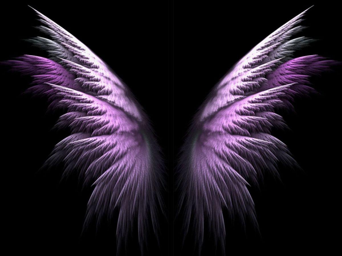 1200x900 Purple Angel Wings Wallpaper Forwallpapercom Angel Wings HD Wallpaper