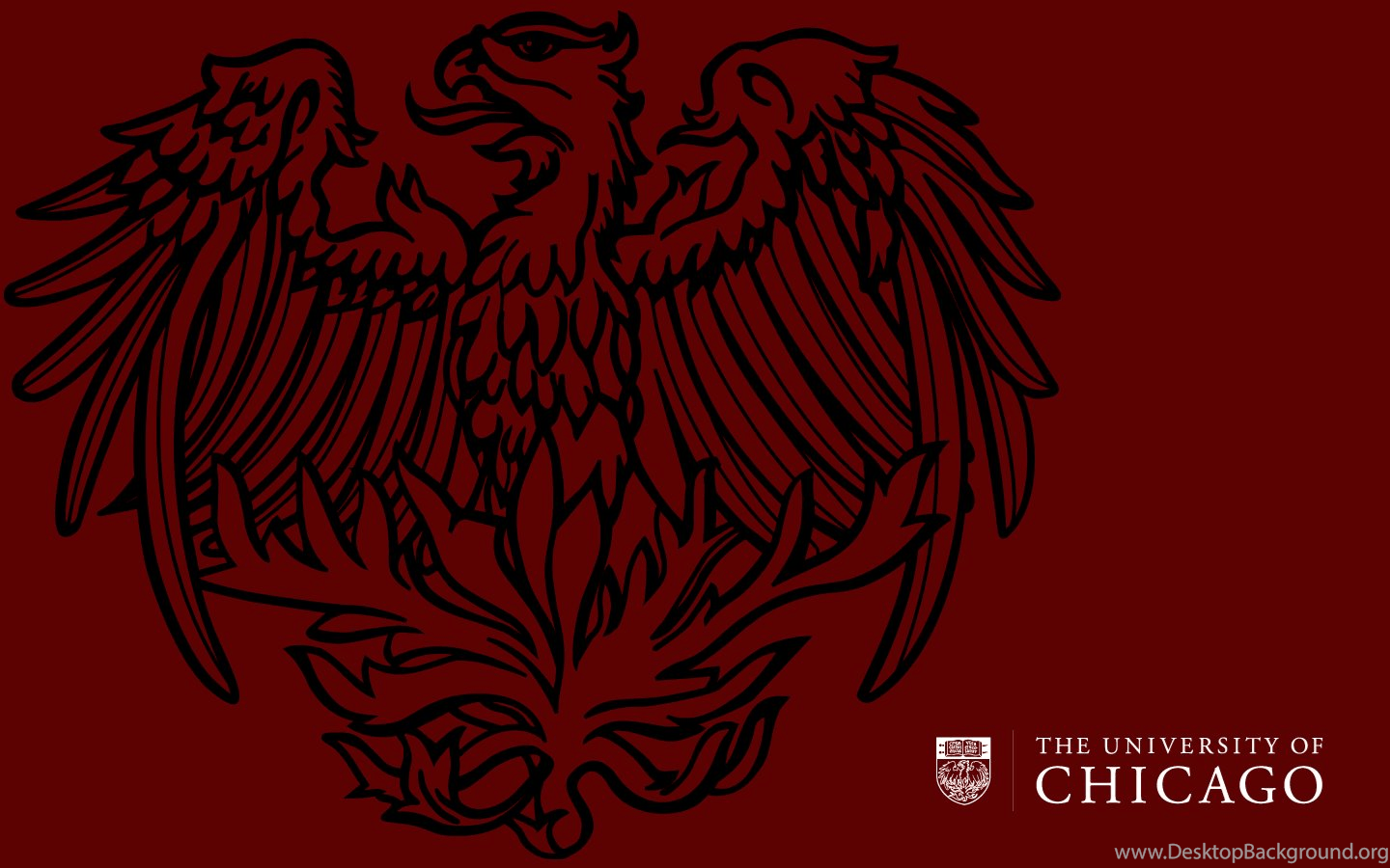 University Of Chicago Wallpapers - Top Free University Of Chicago ...