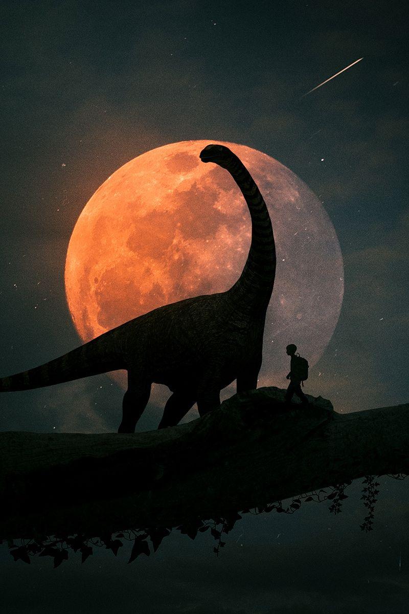 800x1200 Dinosaur Wallpaper iPhone Free HD Wallpaper