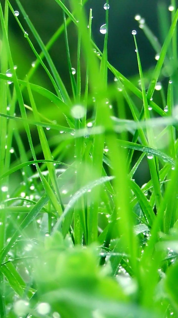 720x1280 Samsung Galaxy S3 Mobile Wallpaper