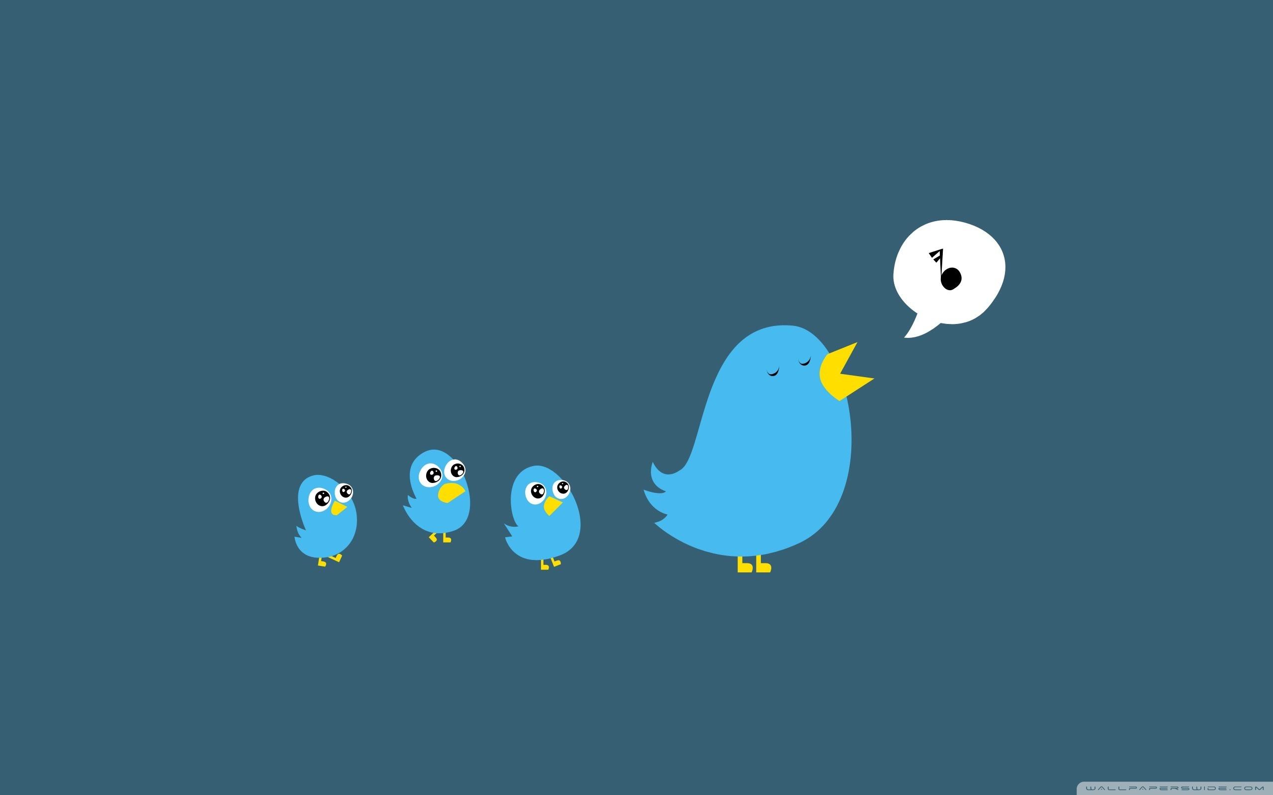2560x1600 Twitter Birds Singing Ultra HD Desktop Background Wallpaper for 4K UHD TV : Multi Display, Dual Monitor : Tablet
