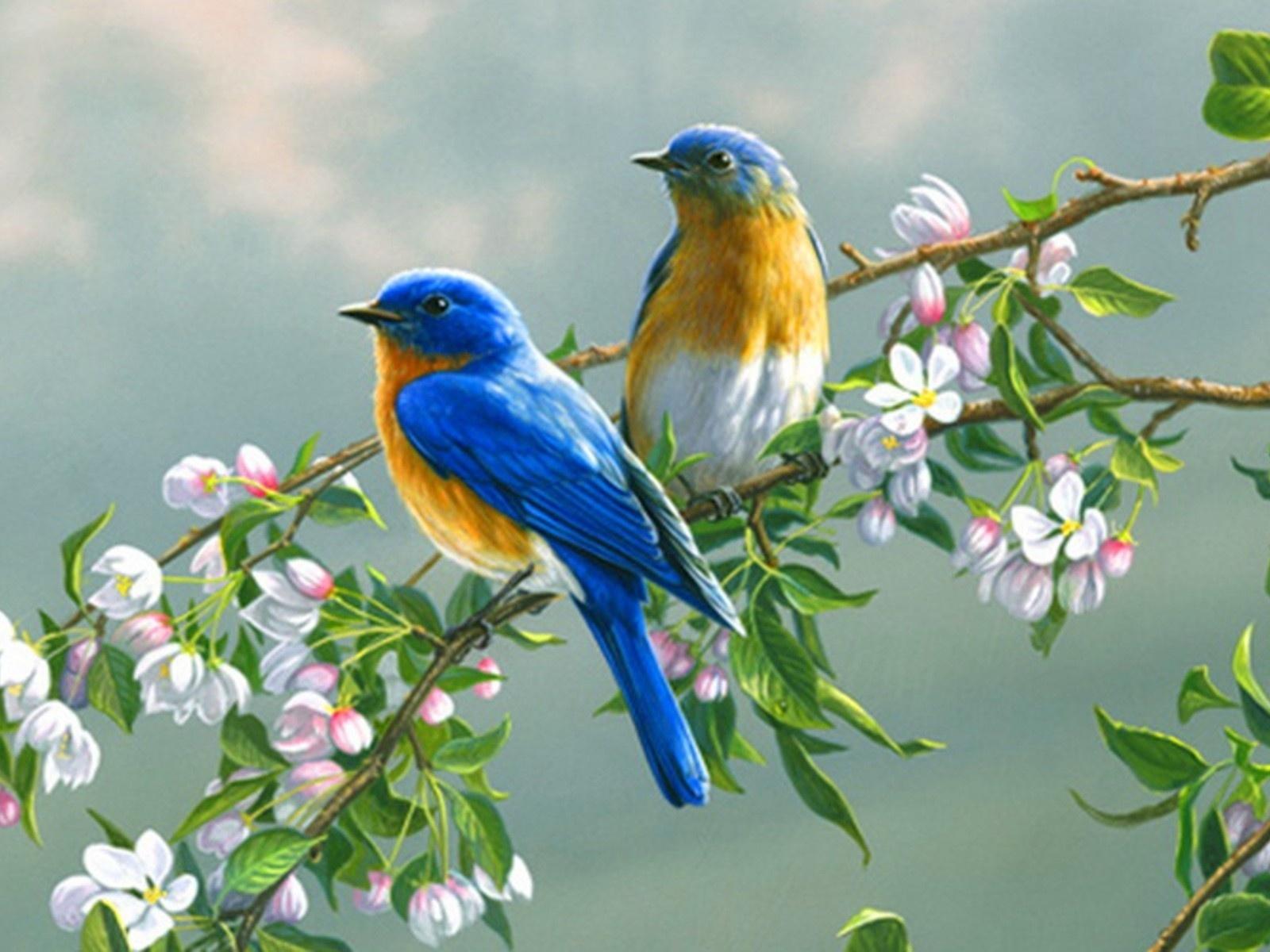 1600x1200 Birds Branches & Blossoms Twitter Header Photo