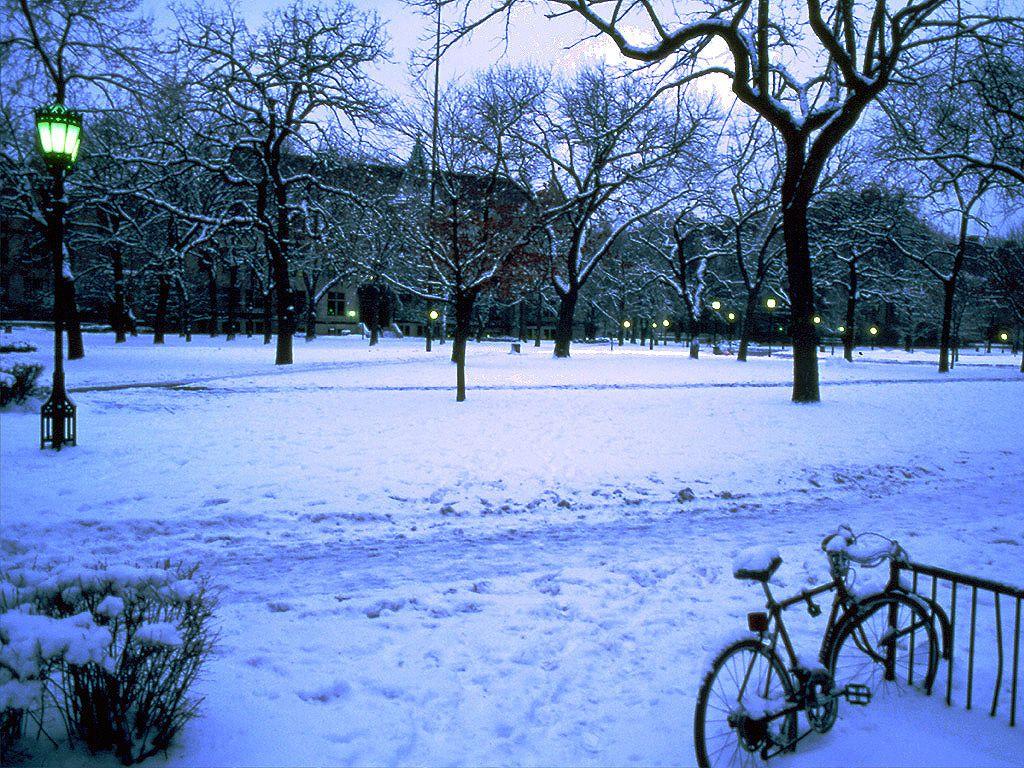 1024x768 The University of Chicago Magazine