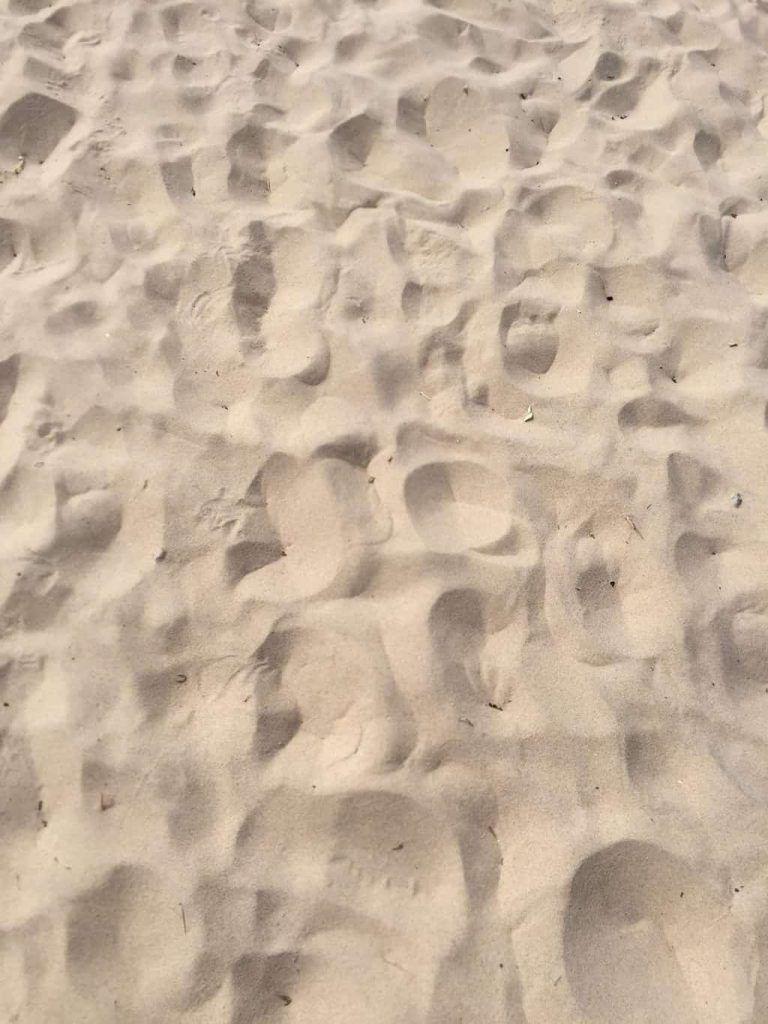 768x1024 South Haven, Michigan Family Vacation. Beige aesthetic, Brown aesthetic, Cream aesthetic