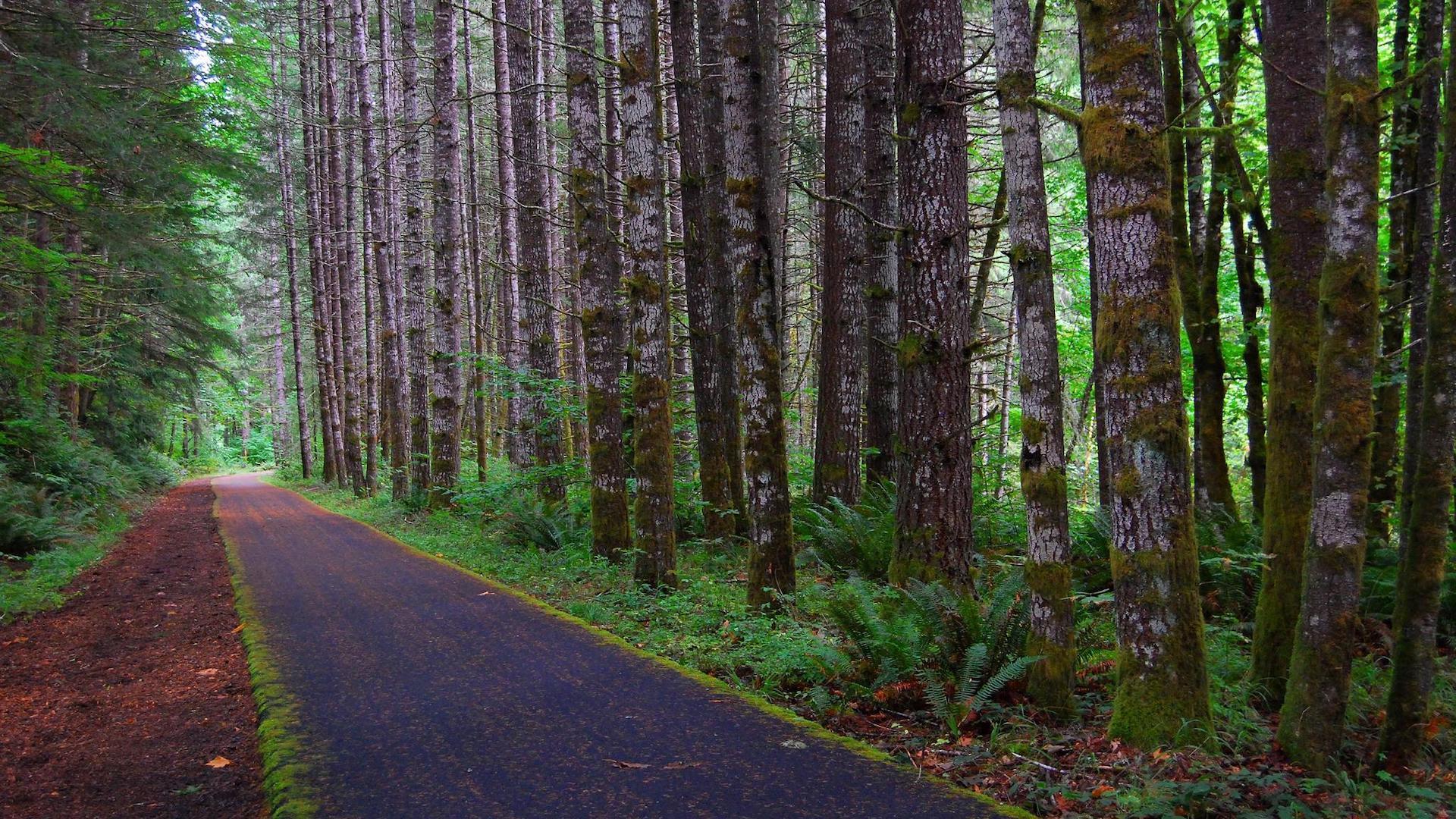1920x1080 Free Wallpaper. Rails To Trails Conservancy