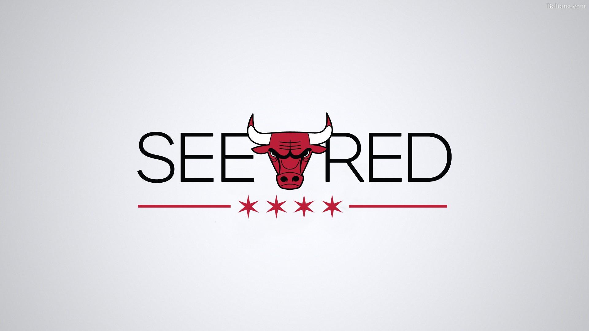 1920x1080 Chicago Bulls Wallpaper HD 33440
