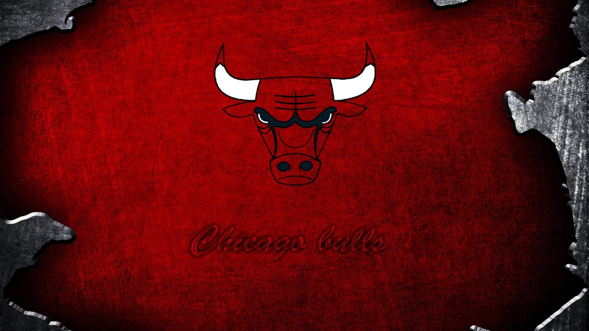 1920x1080 Chicago Bulls Logo Wallpaper HD