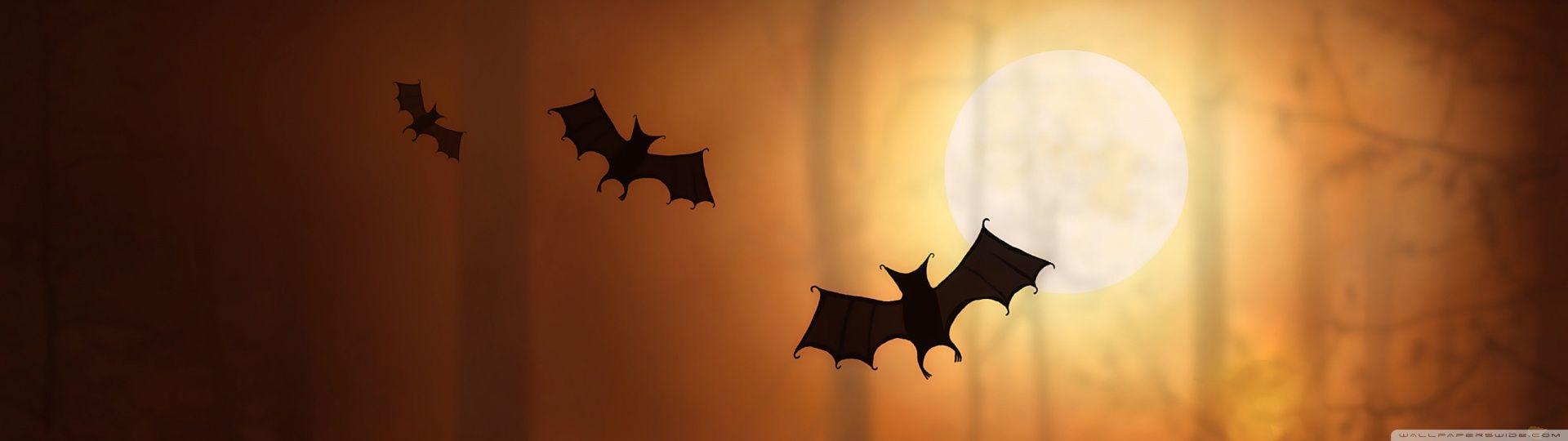 1920x540 Halloween Bats ❤ 4K HD Desktop Wallpaper for • Dual Monitor