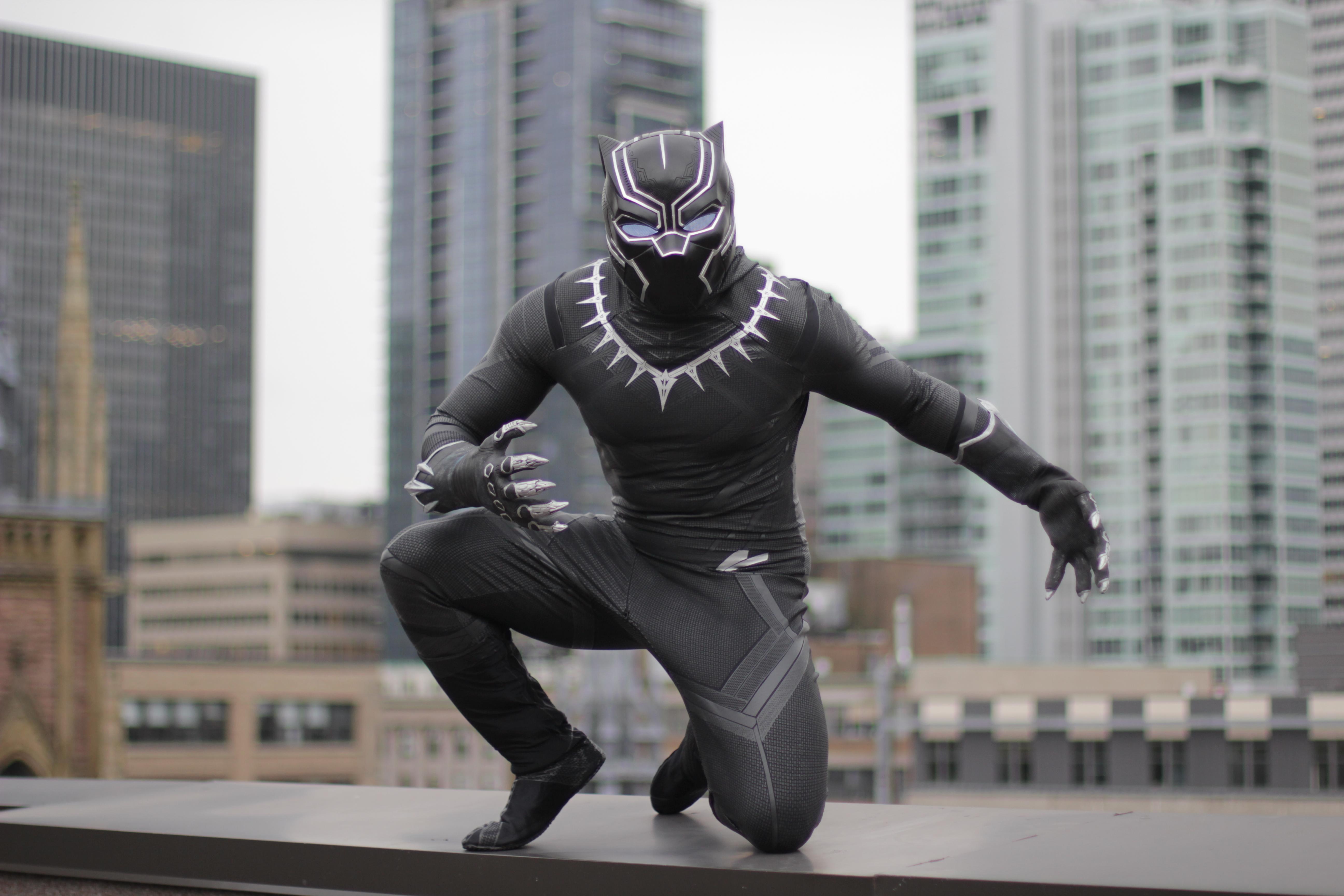 5184x3456 Black Panther Cosplay 1280x1024 Resolution HD 4k Wallpaper, Image, Background, Photo and Picture