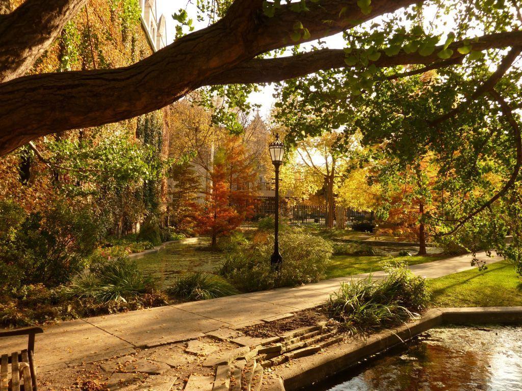 1024x768 Botany Pond. (Hyde Park; University of Chicago). My childhood
