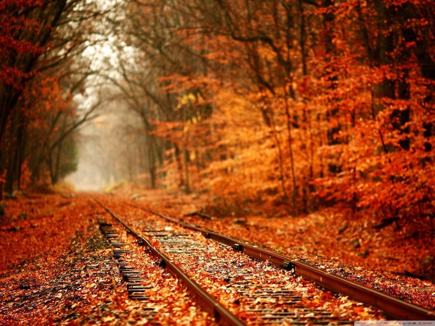 1440x1080 Autumn Railway ❤ 4K HD Desktop Wallpaper for 4K Ultra HD TV • Wide