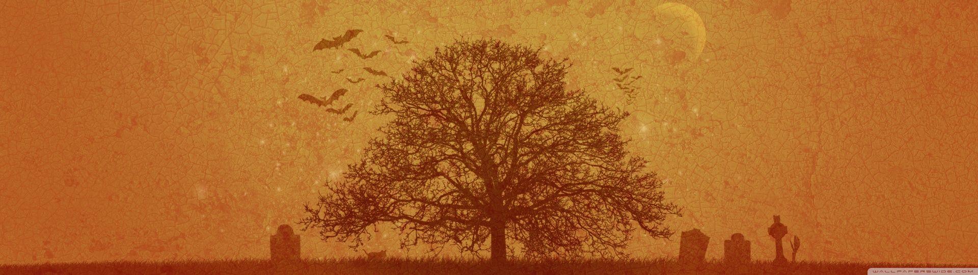 1920x540 Scary Halloween ❤ 4K HD Desktop Wallpaper for 4K Ultra HD TV • Dual