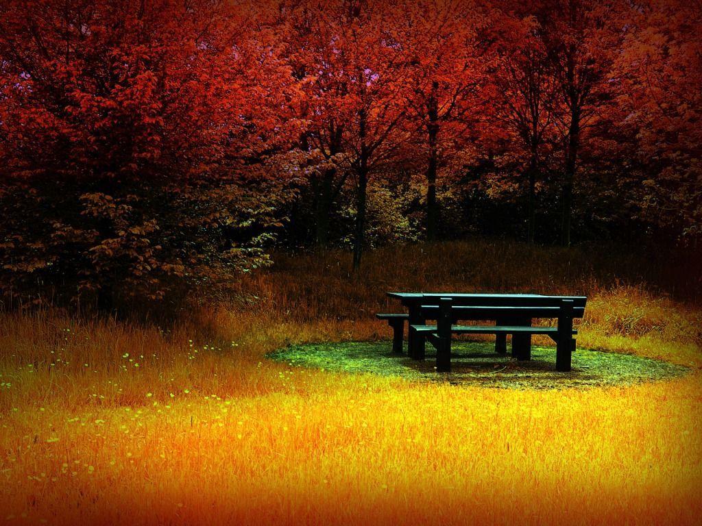 1024x768 Nature: Fire Autumn, desktop wallpaper nr. 37492
