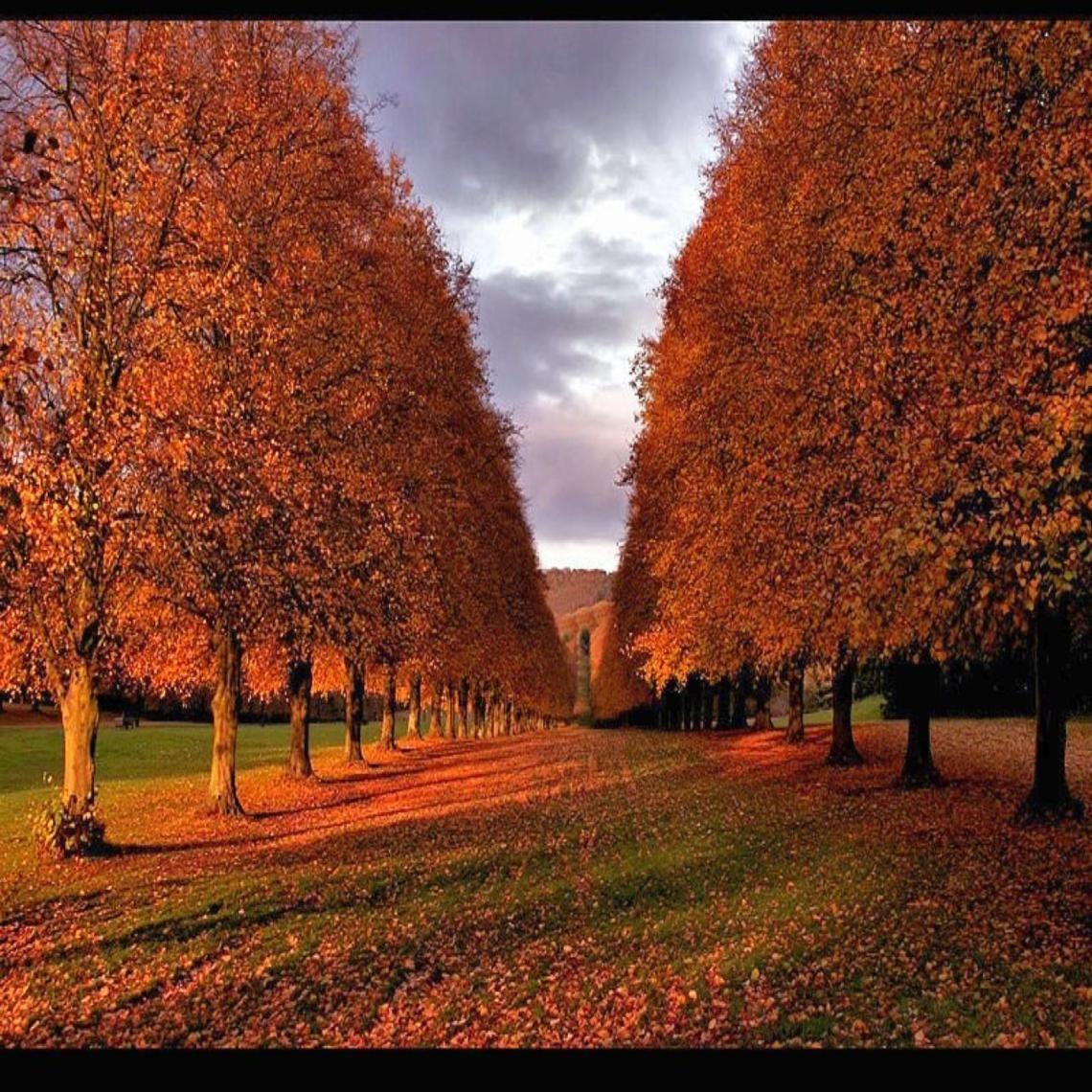 Autumn in Ireland Wallpapers Top Free Autumn in Ireland Backgrounds WallpaperAccess