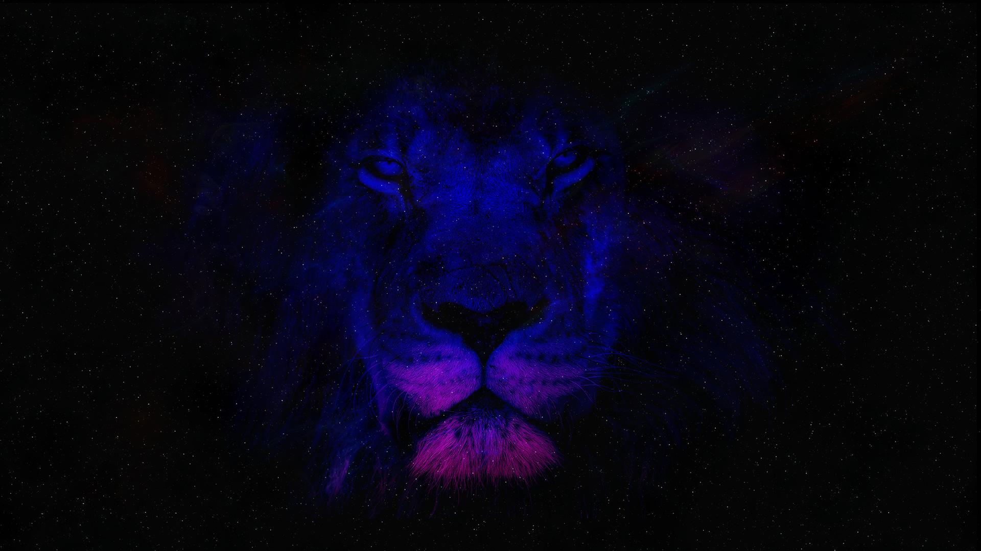 1920x1080 Space Lion Laptop Background x 1080 px
