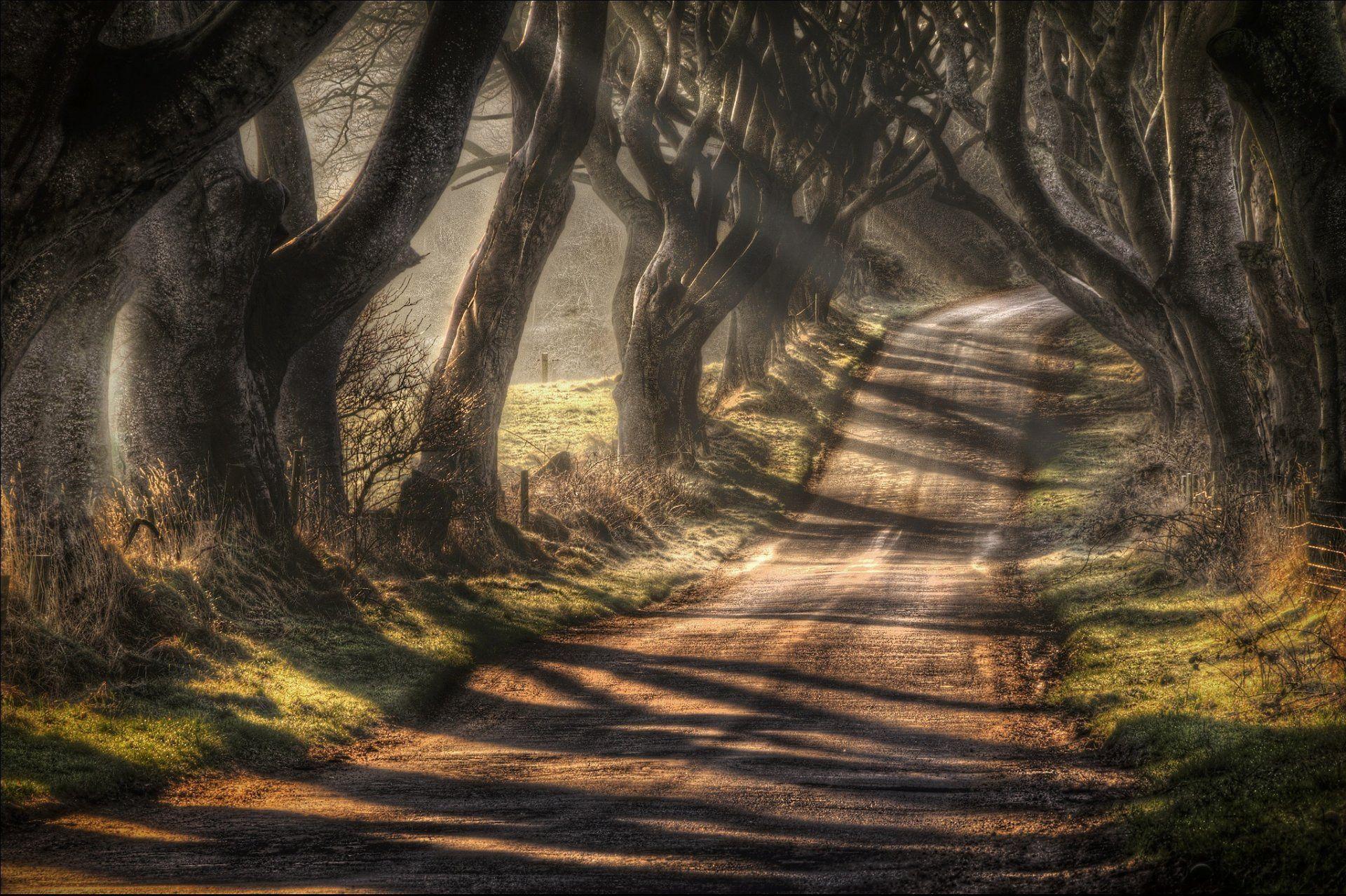 1920x1278 northern ireland county antrim ballymoney road bragh road dark alley