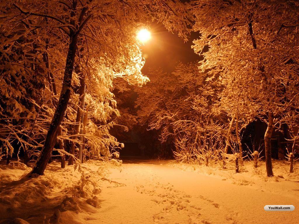1024x768 O*) O Holy Night. Winter night wallpaper, Knight wallpaper, Forest wallpaper