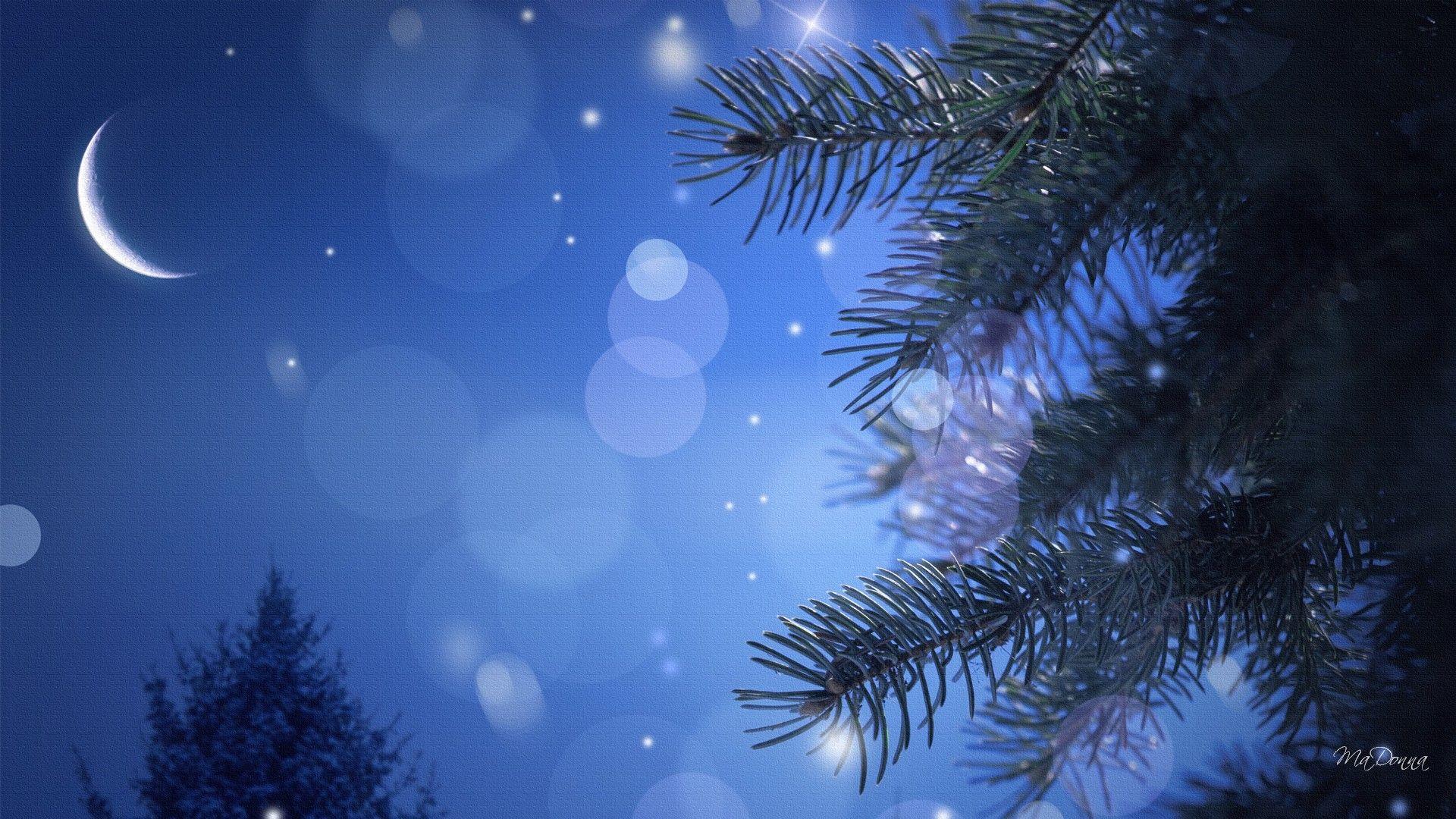 1920x1080 HD Calm Winter Night Wallpaper. Download Free -109213. Winter wallpaper, Winter night, Winter picture