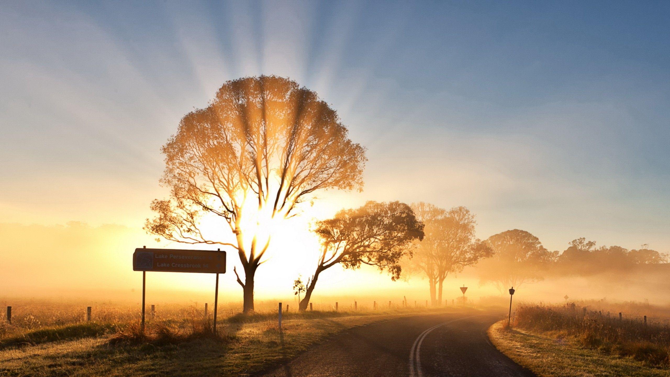 2560x1440 Wallpaper Landscape Sunset Wallpaper. Sunset wallpaper, Sunrise wallpaper, Landscape wallpaper