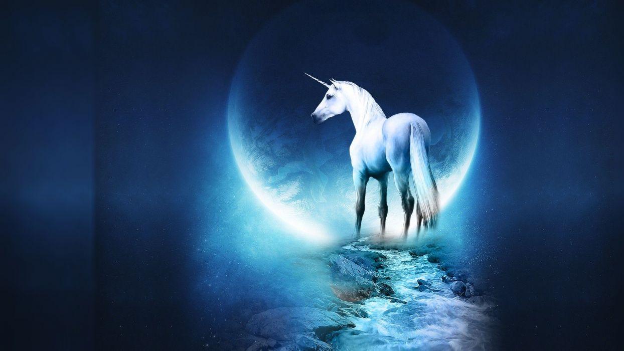 1244x700 Fantasy blue Moon unicorns moonlight digital art wallpaperx1080