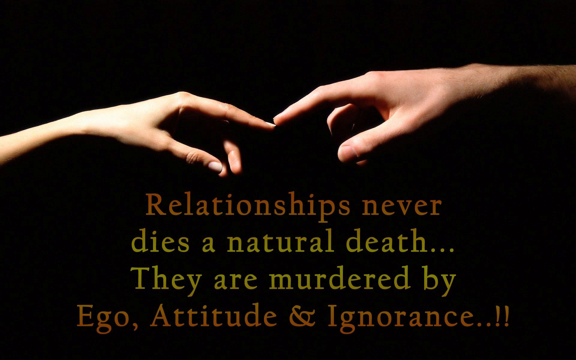 1920x1200 Beautiful Relationship High Definition Quotes Photo Background