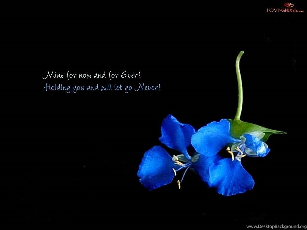 1024x768 Significant And Wise Relationship Quotes Desktop Background