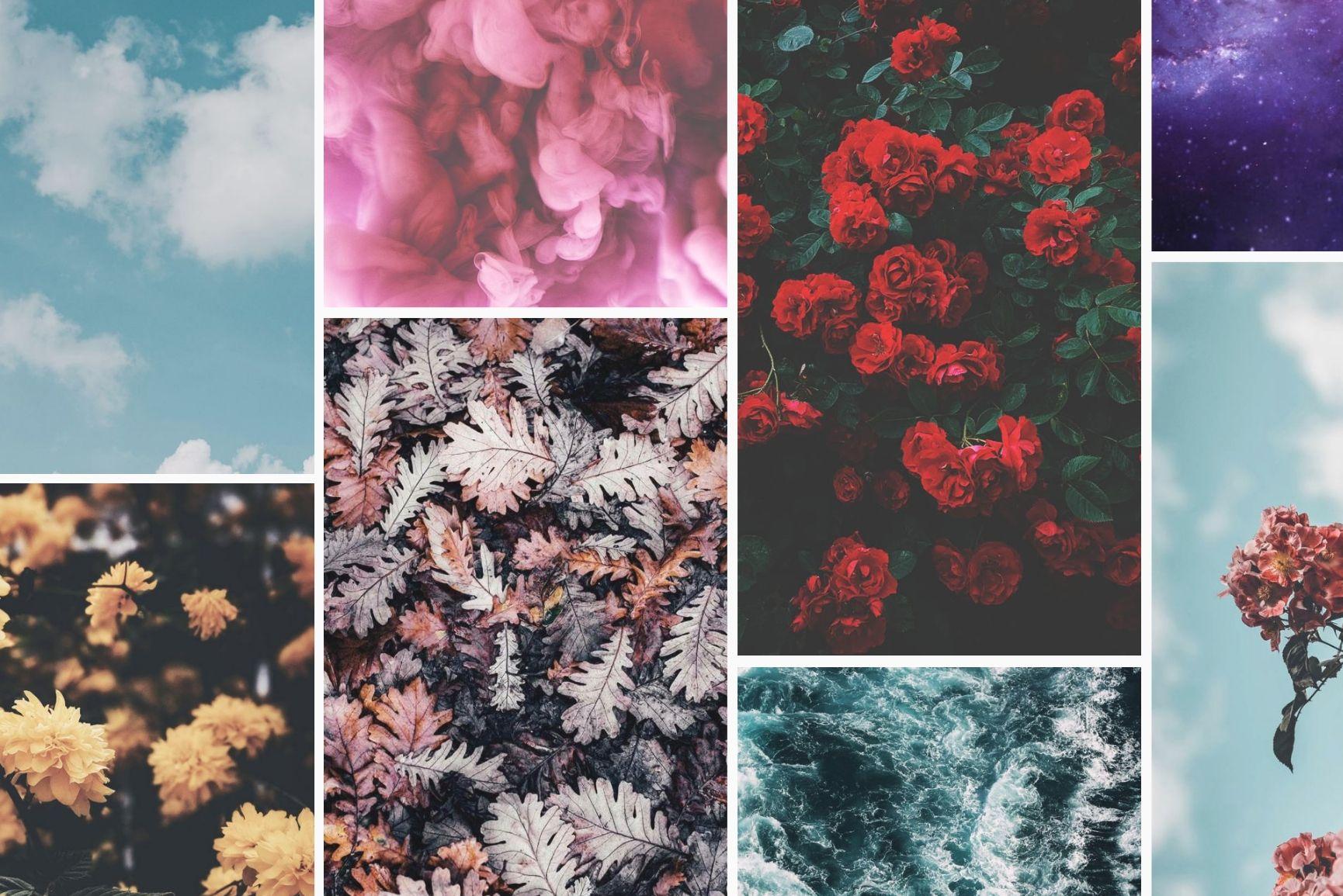 1730x1155 Most Popular Preppy iPhone Wallpaper of 2019