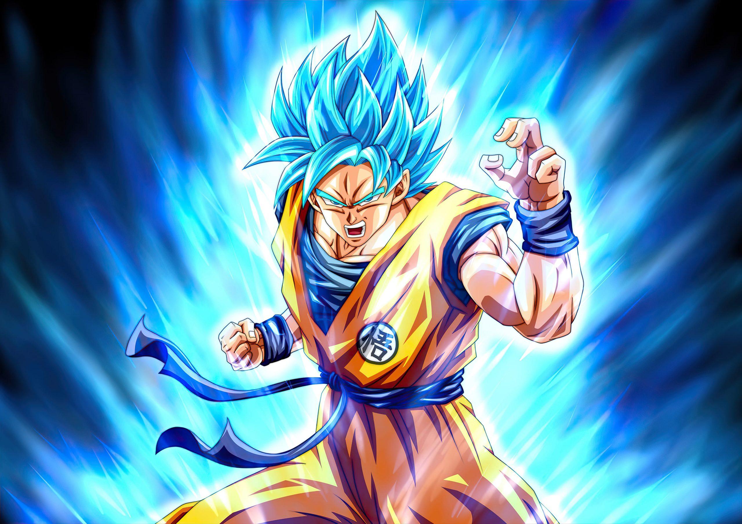 2560x1809 Goku 4k Wallpaper