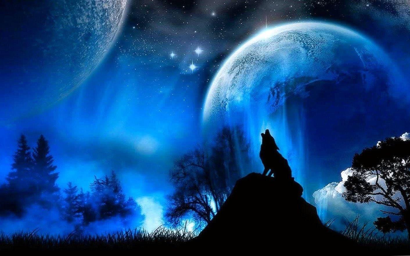 1412x882 Bloody Wolf HD Wallpaper Wallpaper.pro