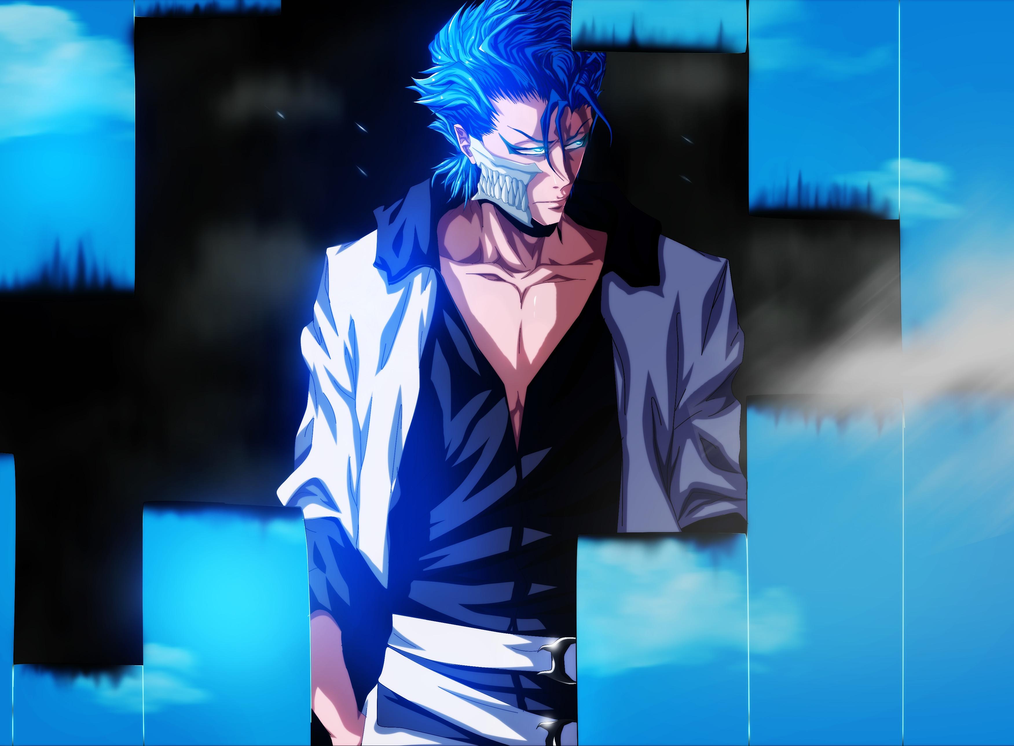 3503x2580 Grimmjow HD Wallpaper