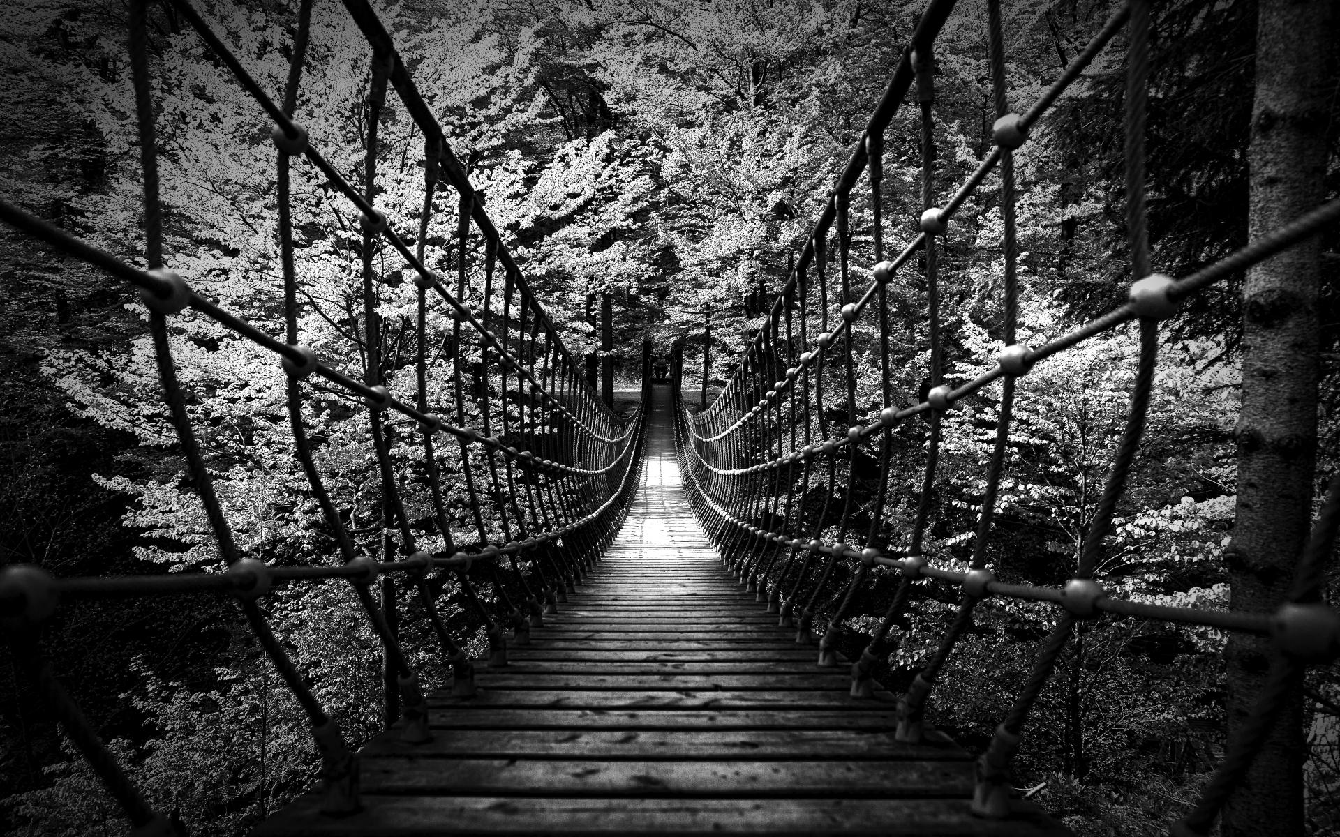 1920x1200 Monochrome Black White B W Landscapes Nature Wood Rope Scary Bridges Trees Forest Photography Architecture Wallpaperx1200