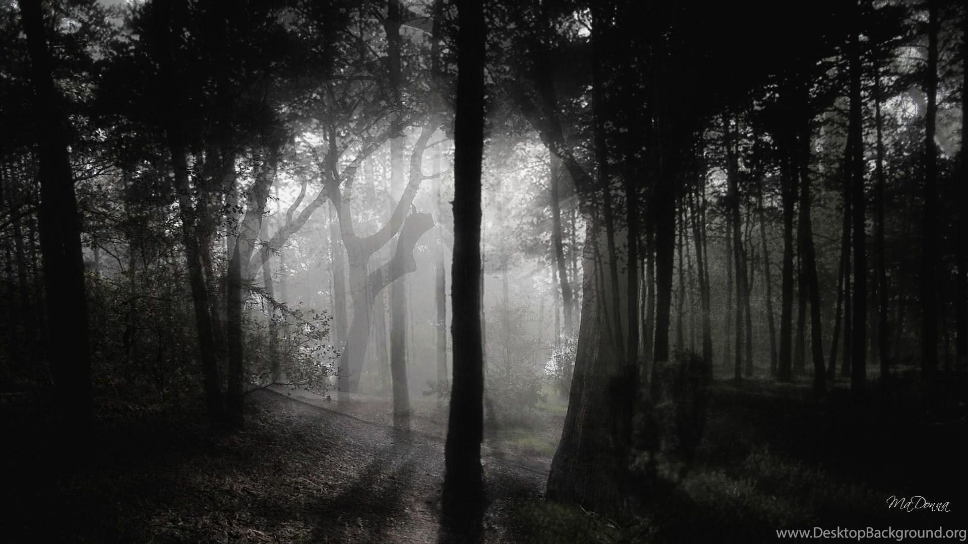1920x1080 Dark Woods Wallpaper Desktop Background