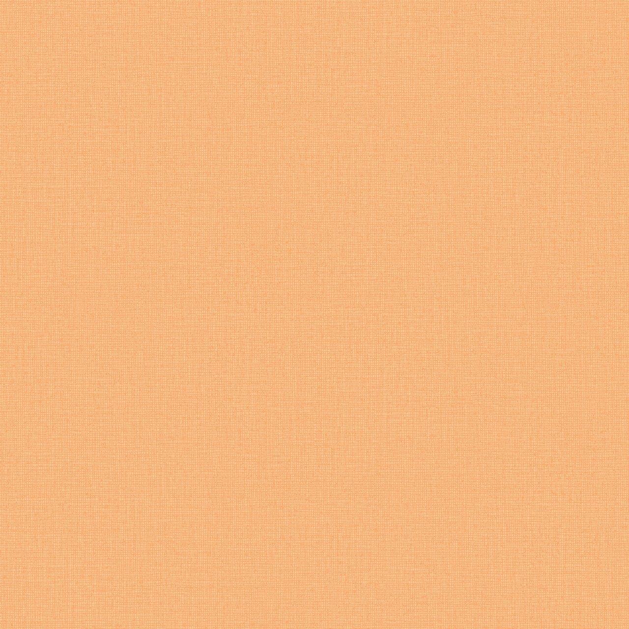 Peach Plain Wallpapers - Top Free Peach Plain Backgrounds - WallpaperAccess