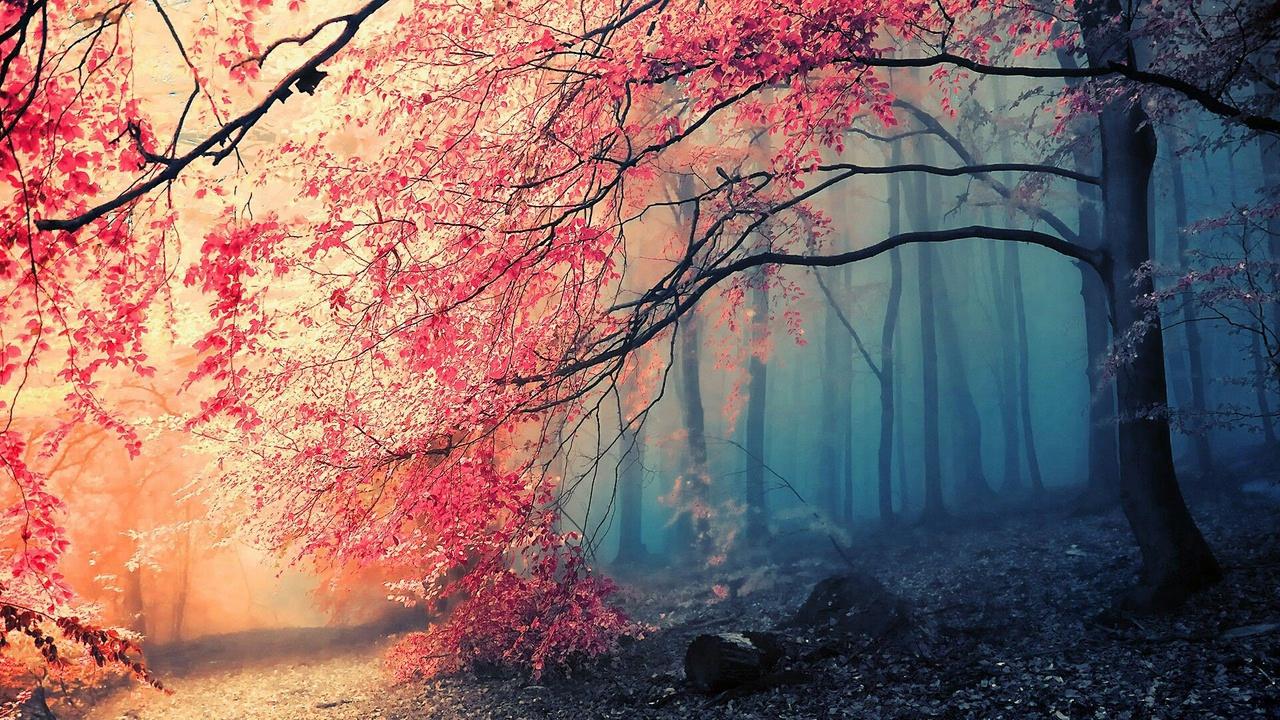 1280x720 ♡