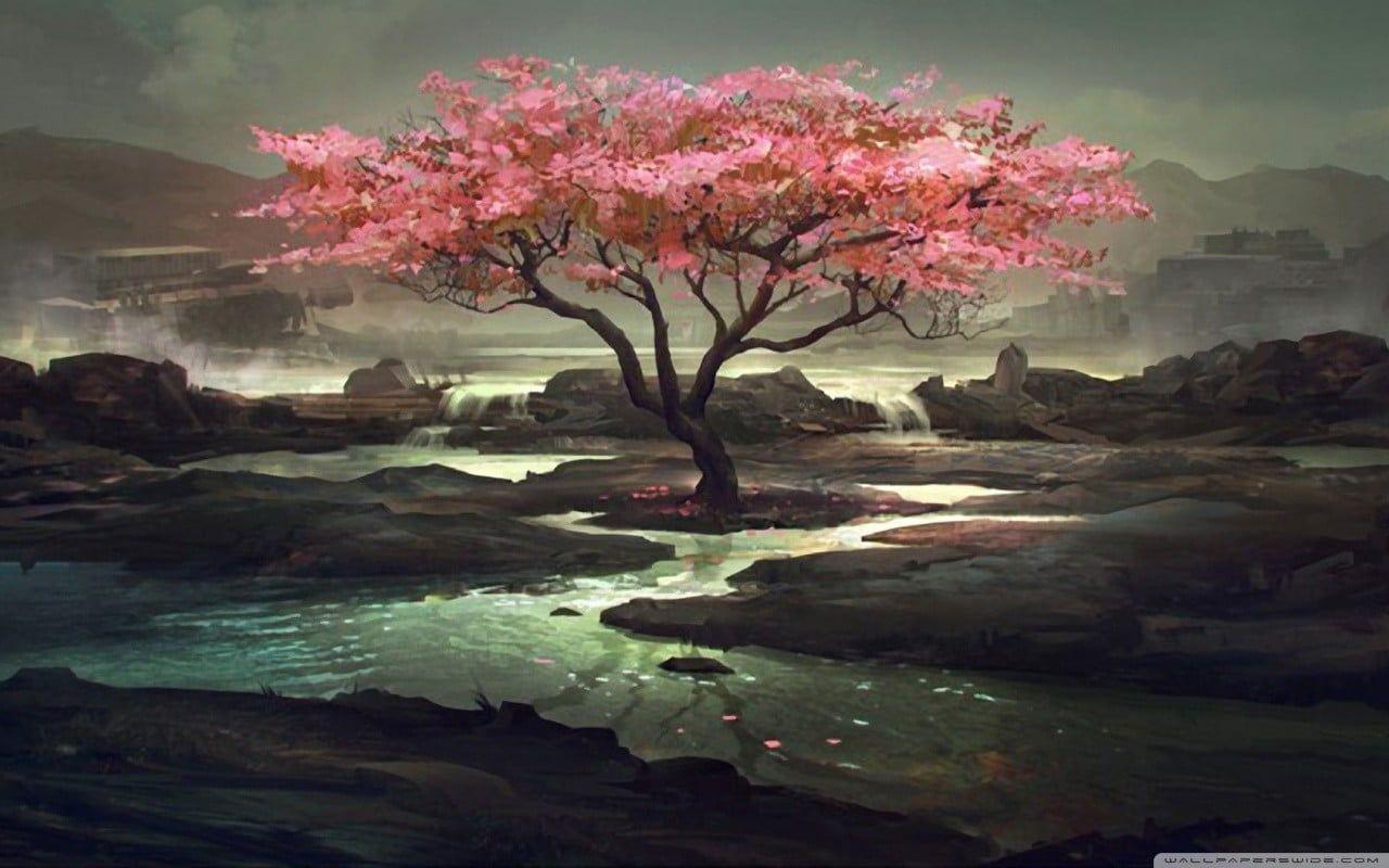 1280x800 Cherry Blossom Art Wallpaper