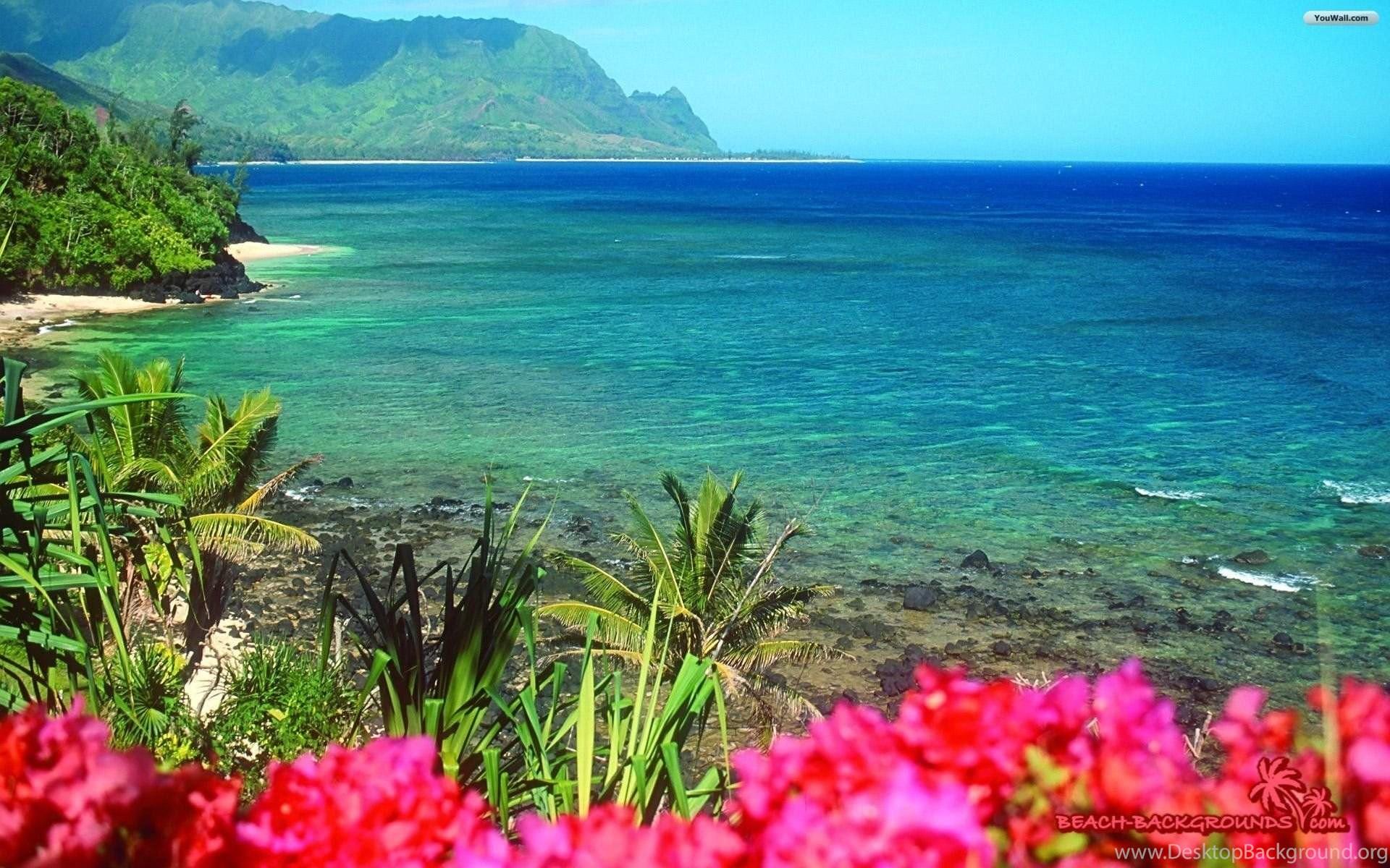 1920x1200 Nature Beach Wallpaper WallDevil Best Free HD Desktop And. Desktop Background
