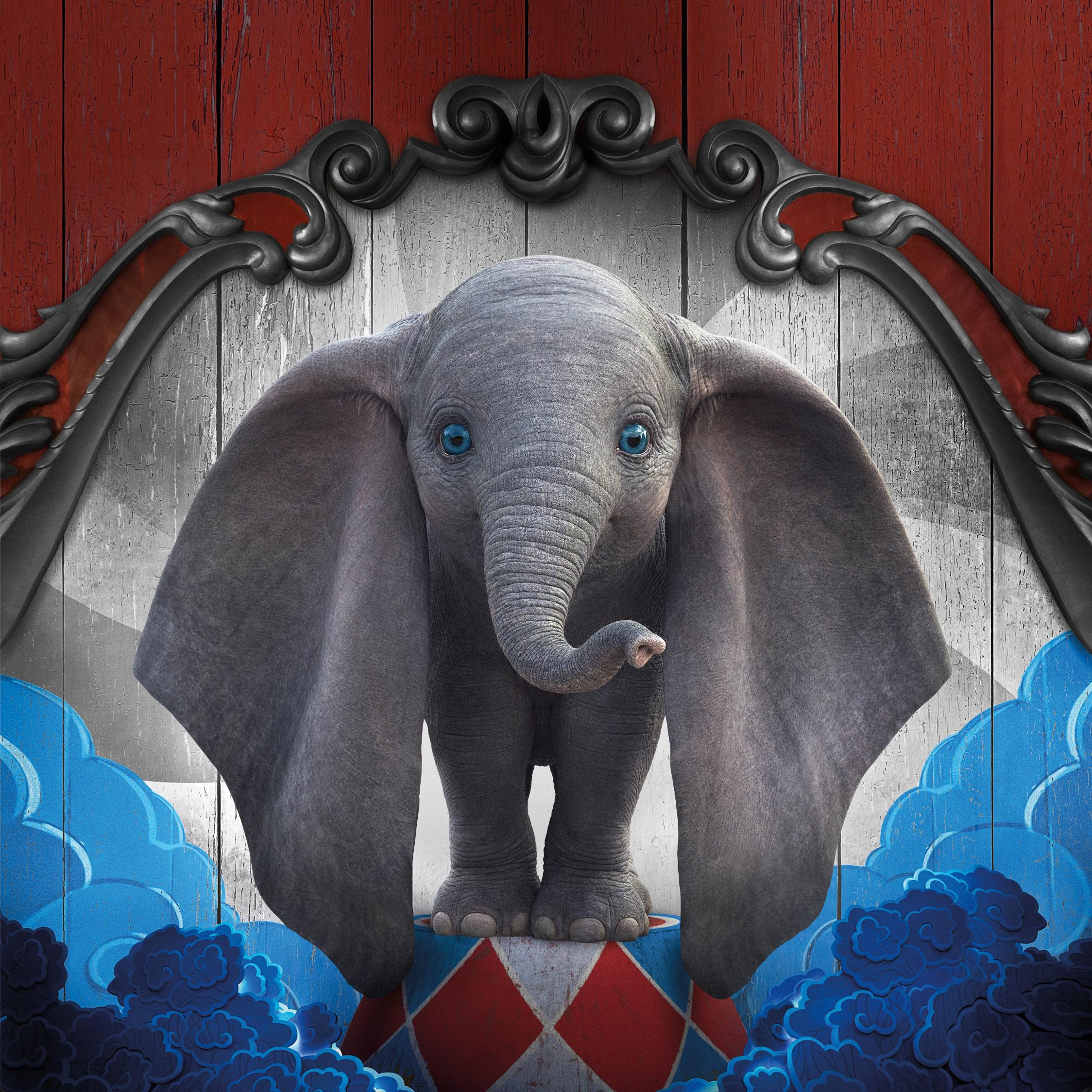 2248x2248 Download Dumbo, baby elephant, cute, 2019 movie wallpaper, 2248x iPad Air, iPad Air iPad iPad iPad mini iPad mini 3