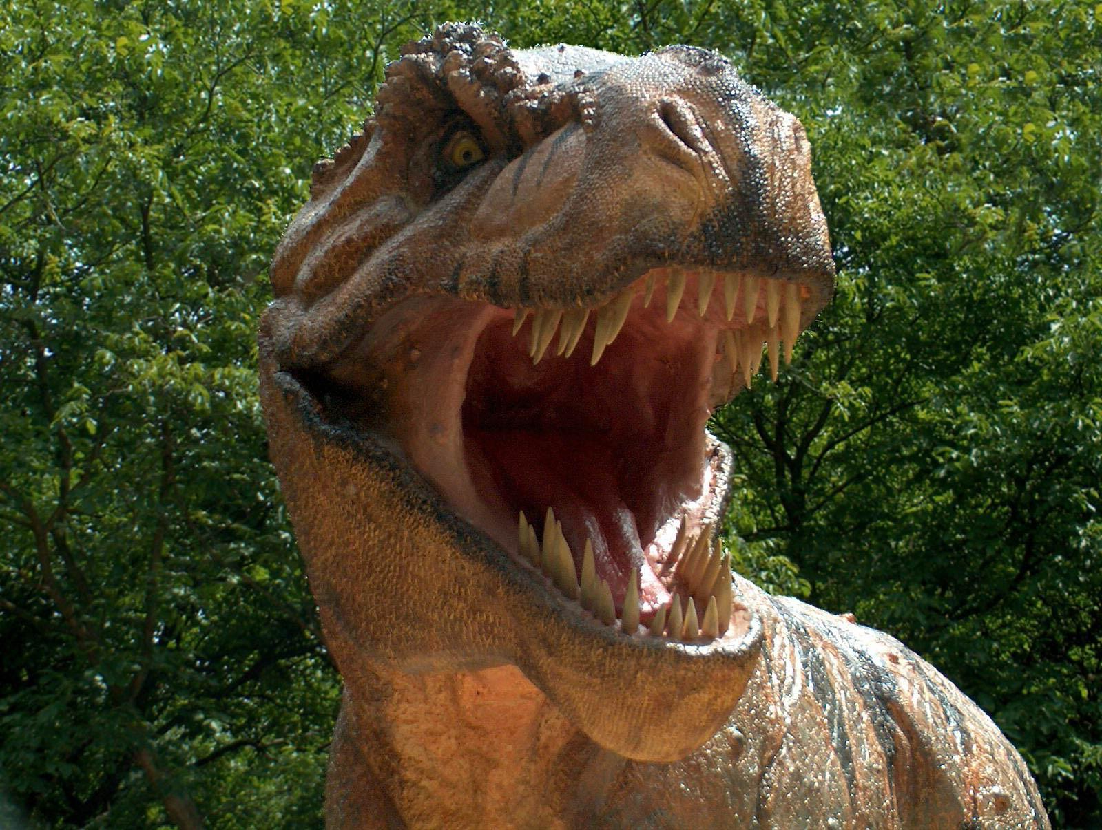 1600x1206 Dinosaur Amazing HD Picture, Wallpaper In High Resolution. HD Wallpaper