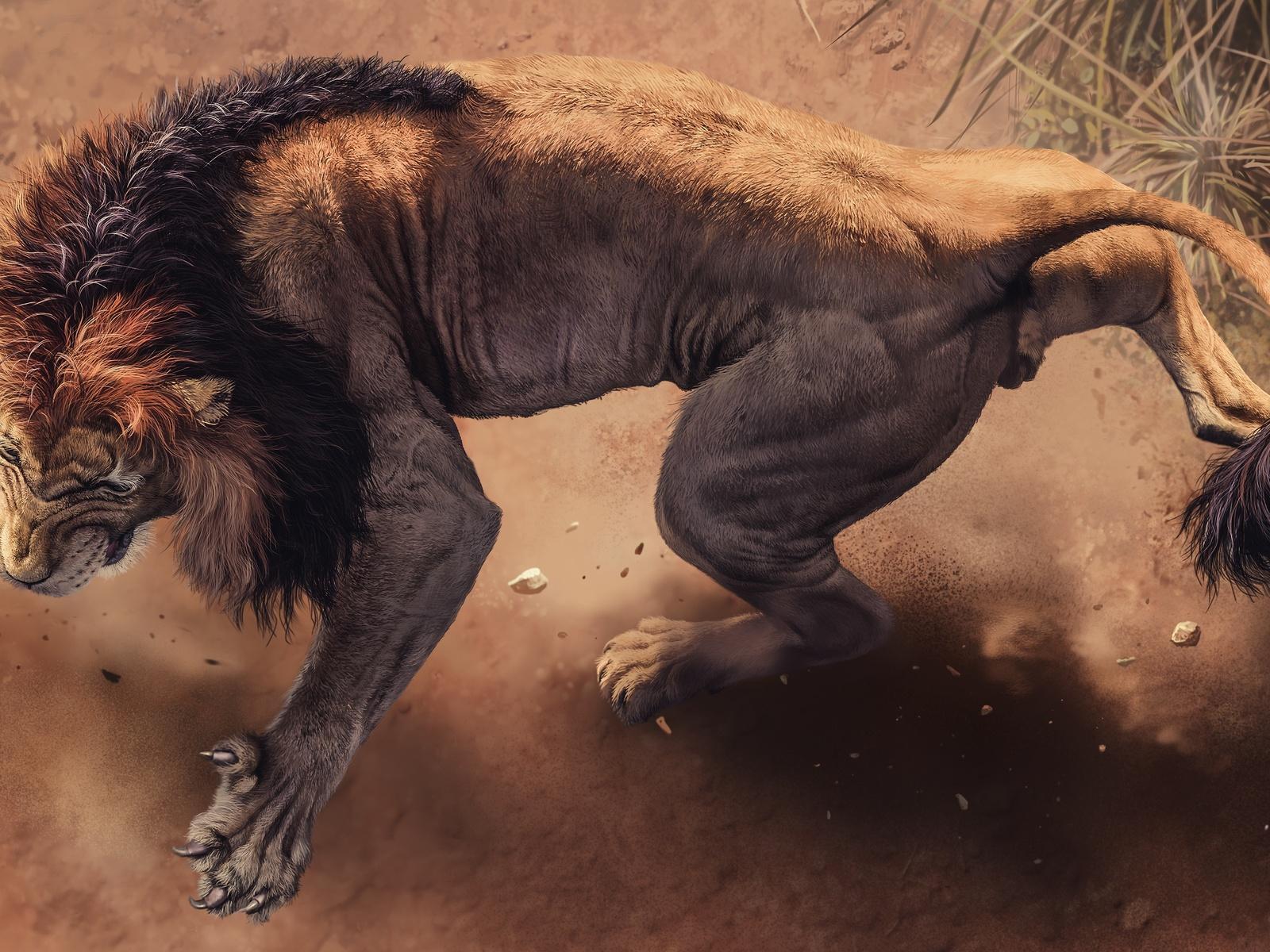 1600x1200 Angry Lion 1600x1200 Resolution HD 4k Wallpaper, Image, Background, Photo and Picture